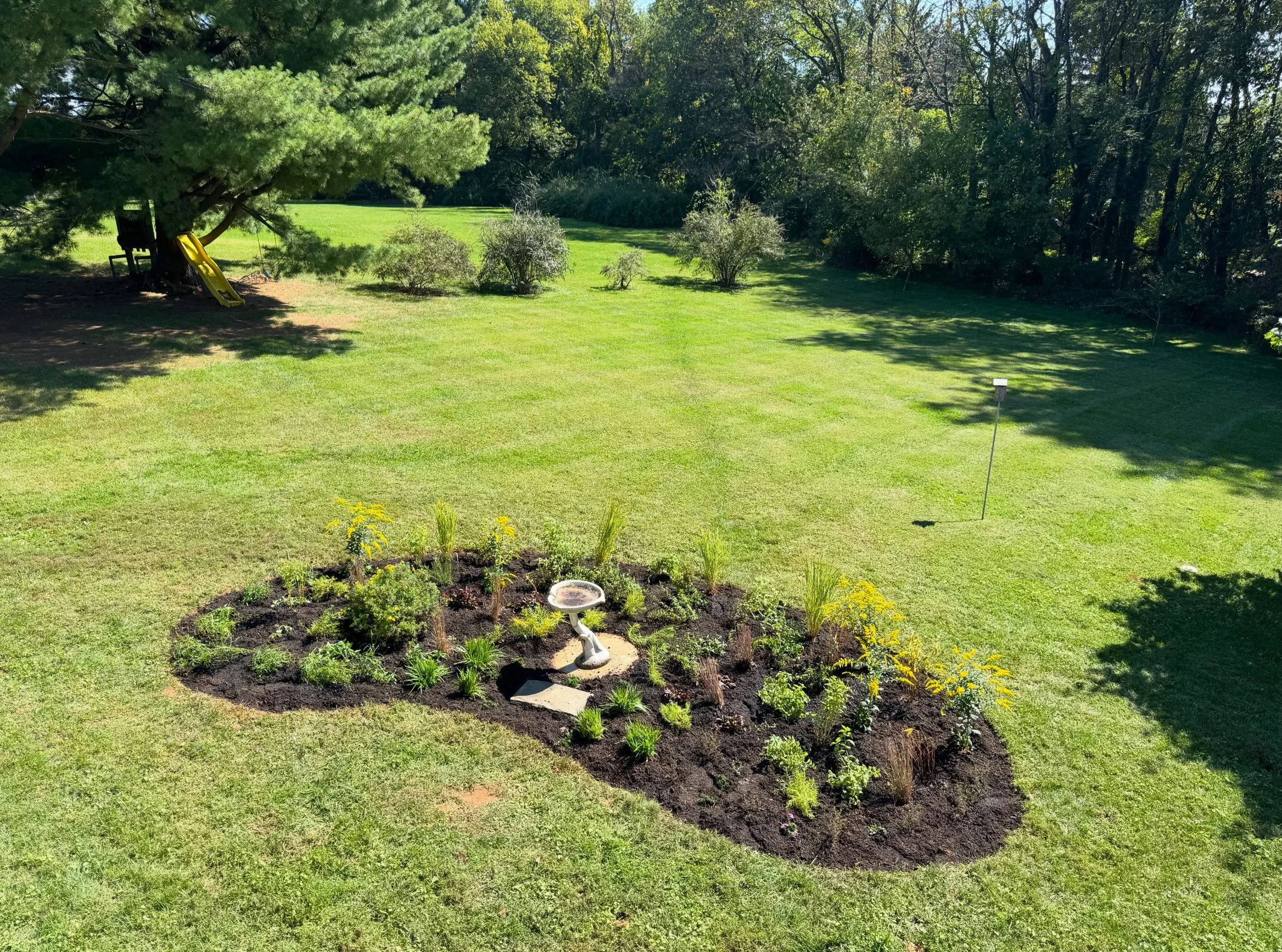 Created habitat around this client's birdbath! Now the birds can search for caterpillars and other insects after taking a dip 🐦🐛🦋🌸
