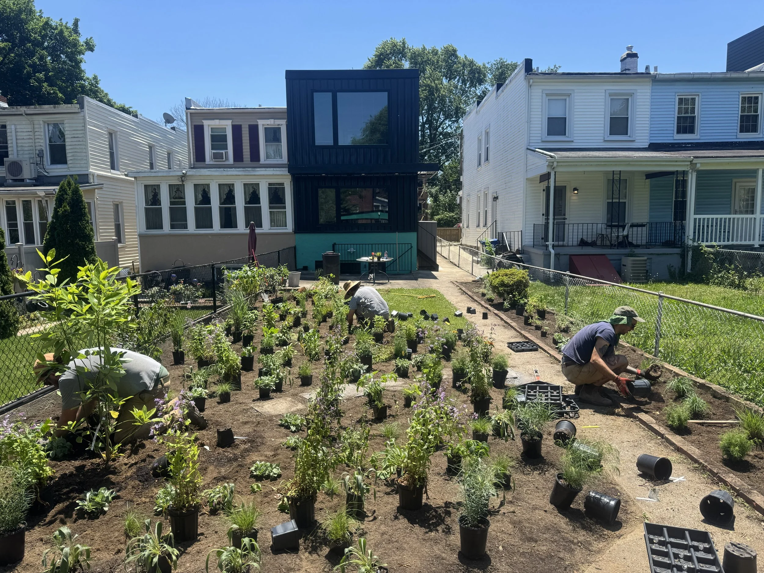 Hampden Lawn Liquidation