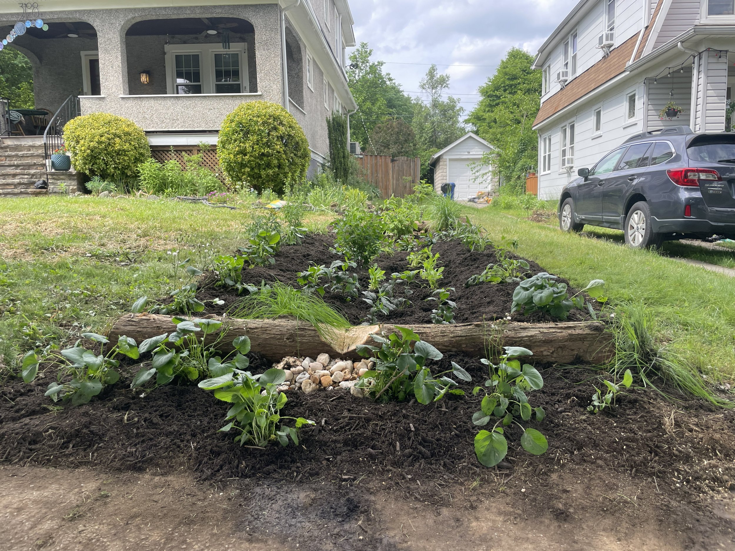 Lauraville Stormwater Solutions