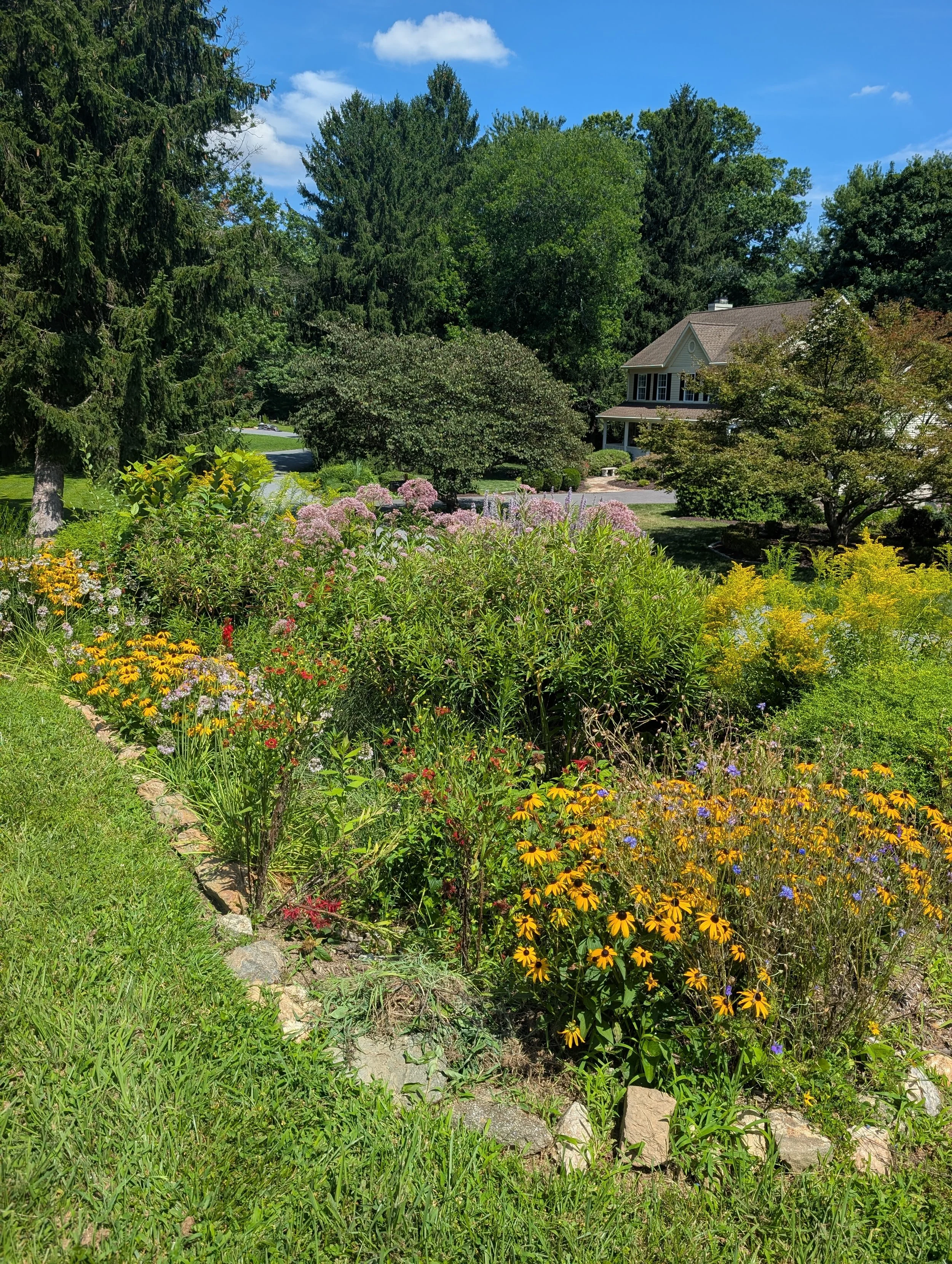 PXL_20260804_183817644.jpg