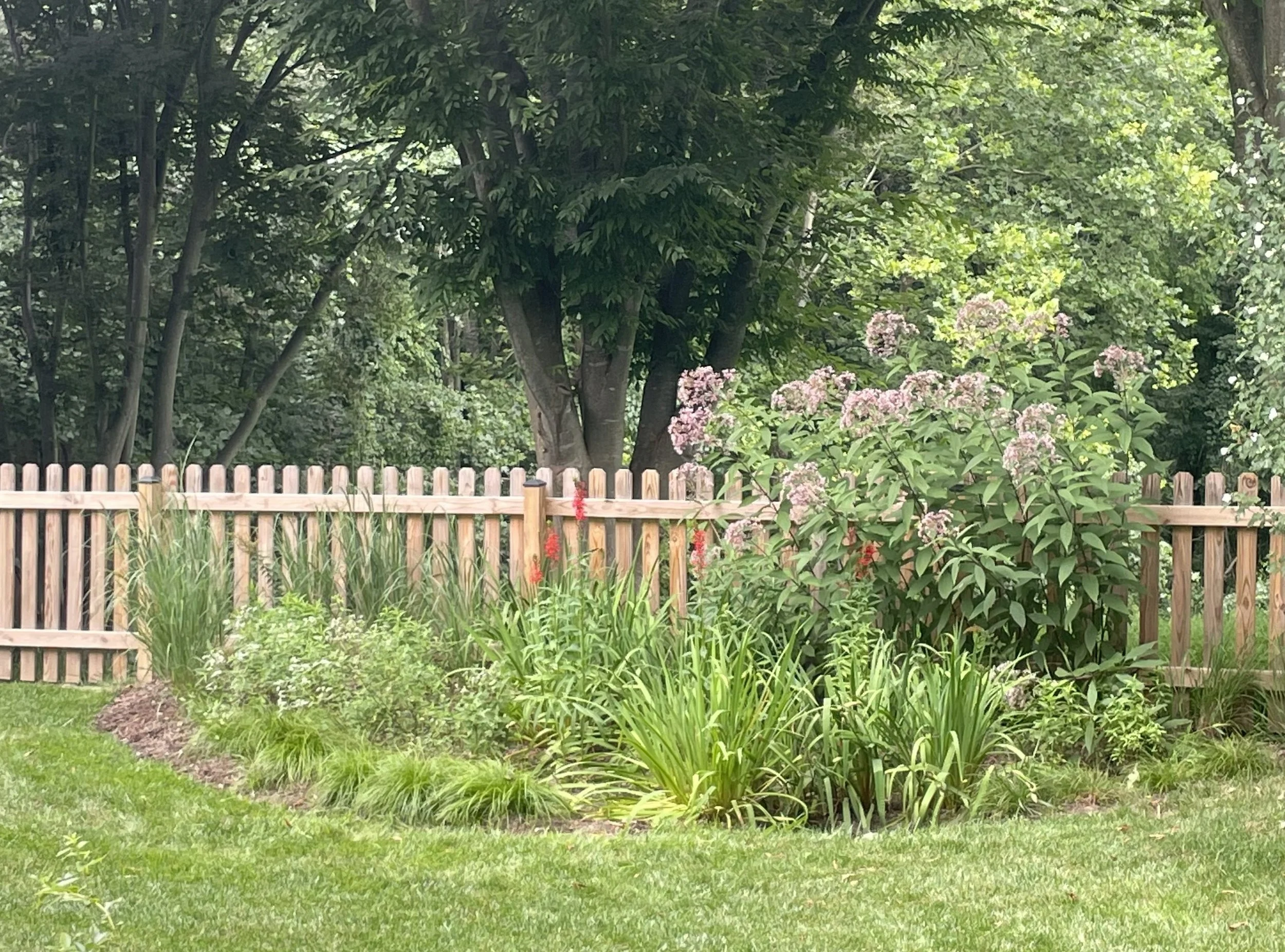 IMG_8264 (1).jpeg