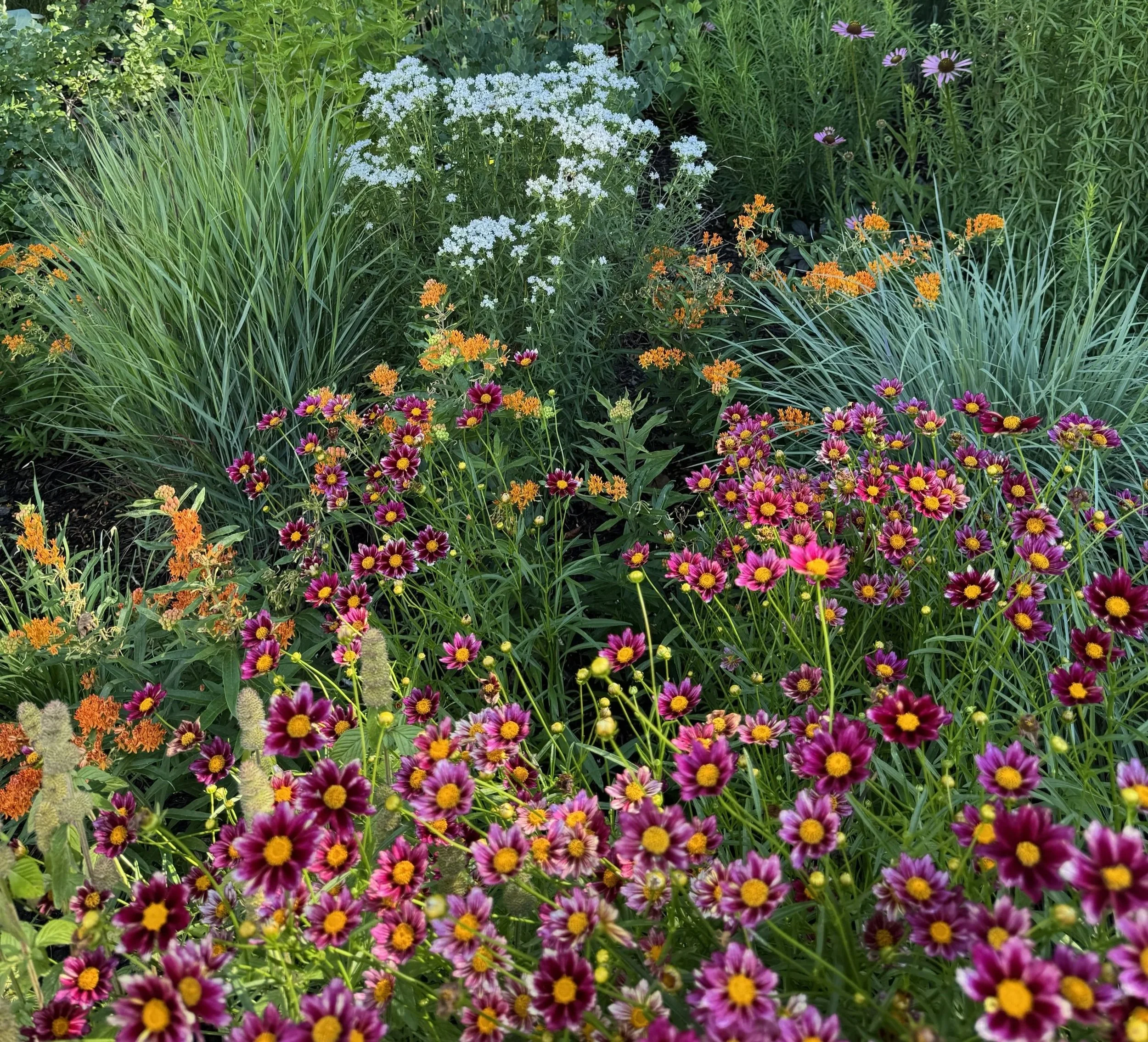 Parkville Perennial Paradise