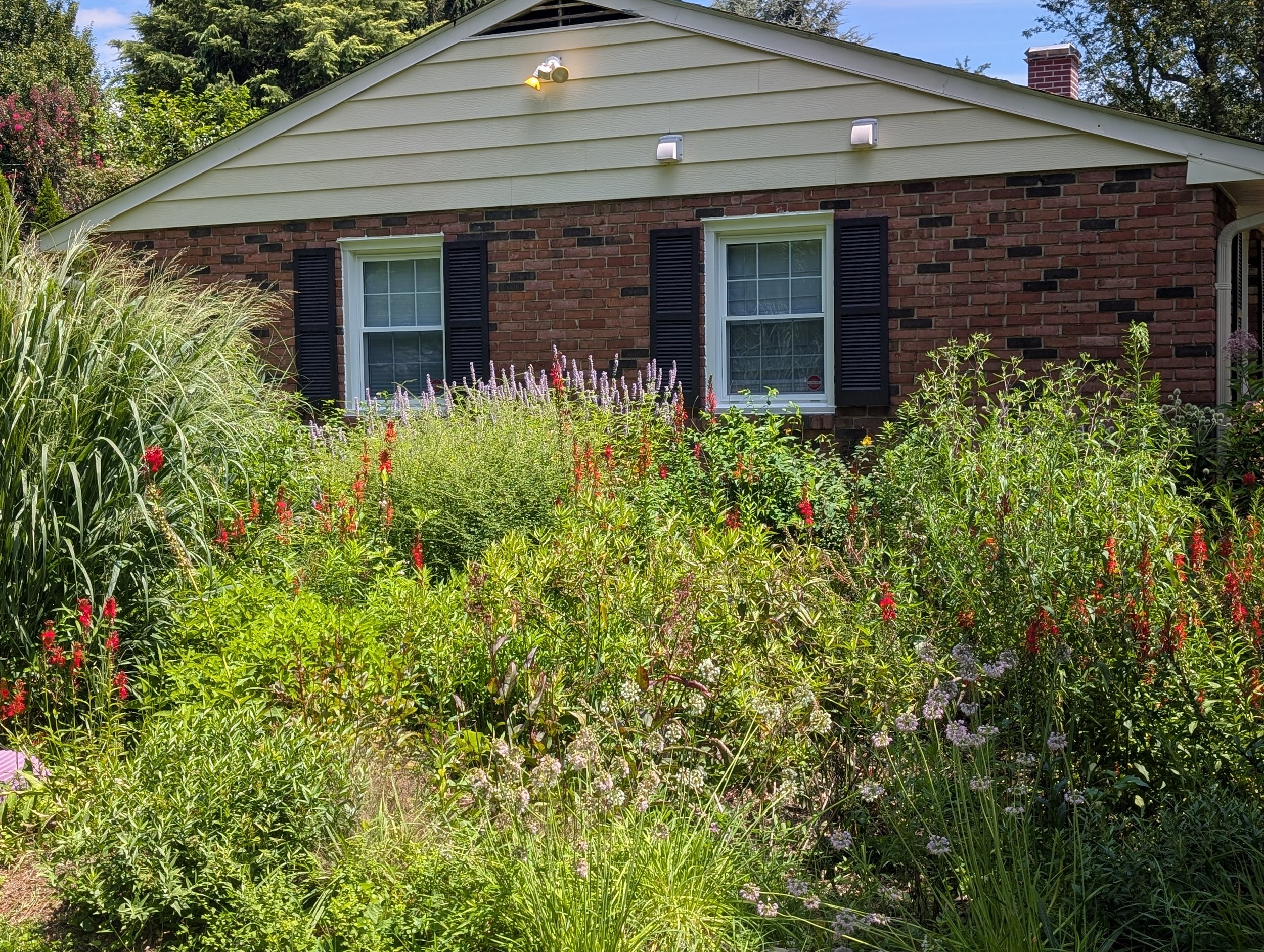 Stormwater Gardens with the HoCo Cleanscapes Program