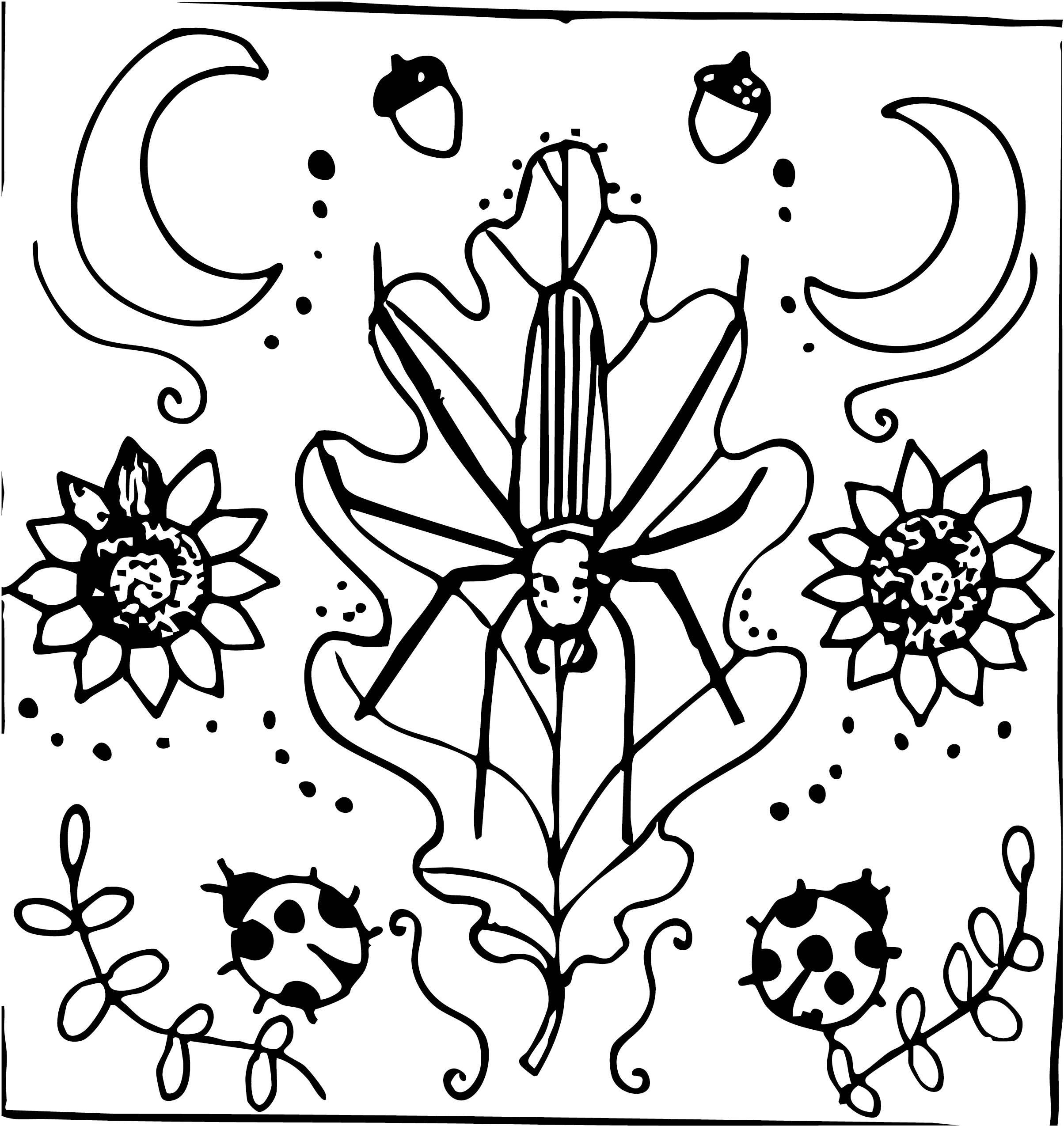 bug cards 2.png