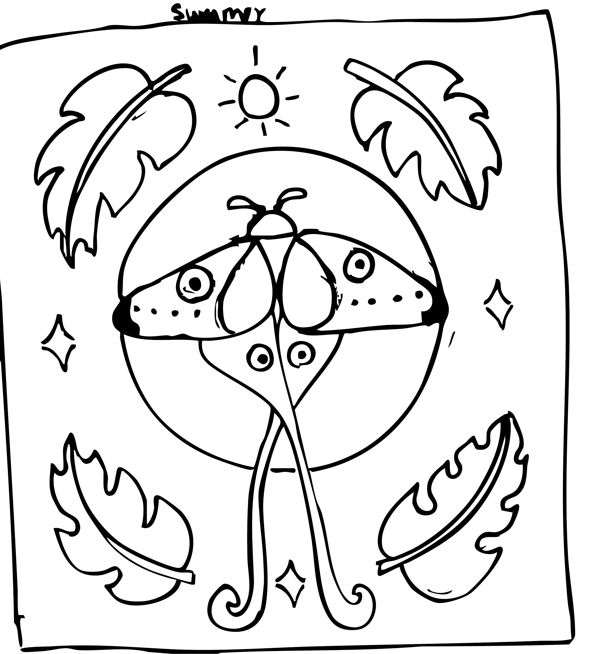 bug card 3.png