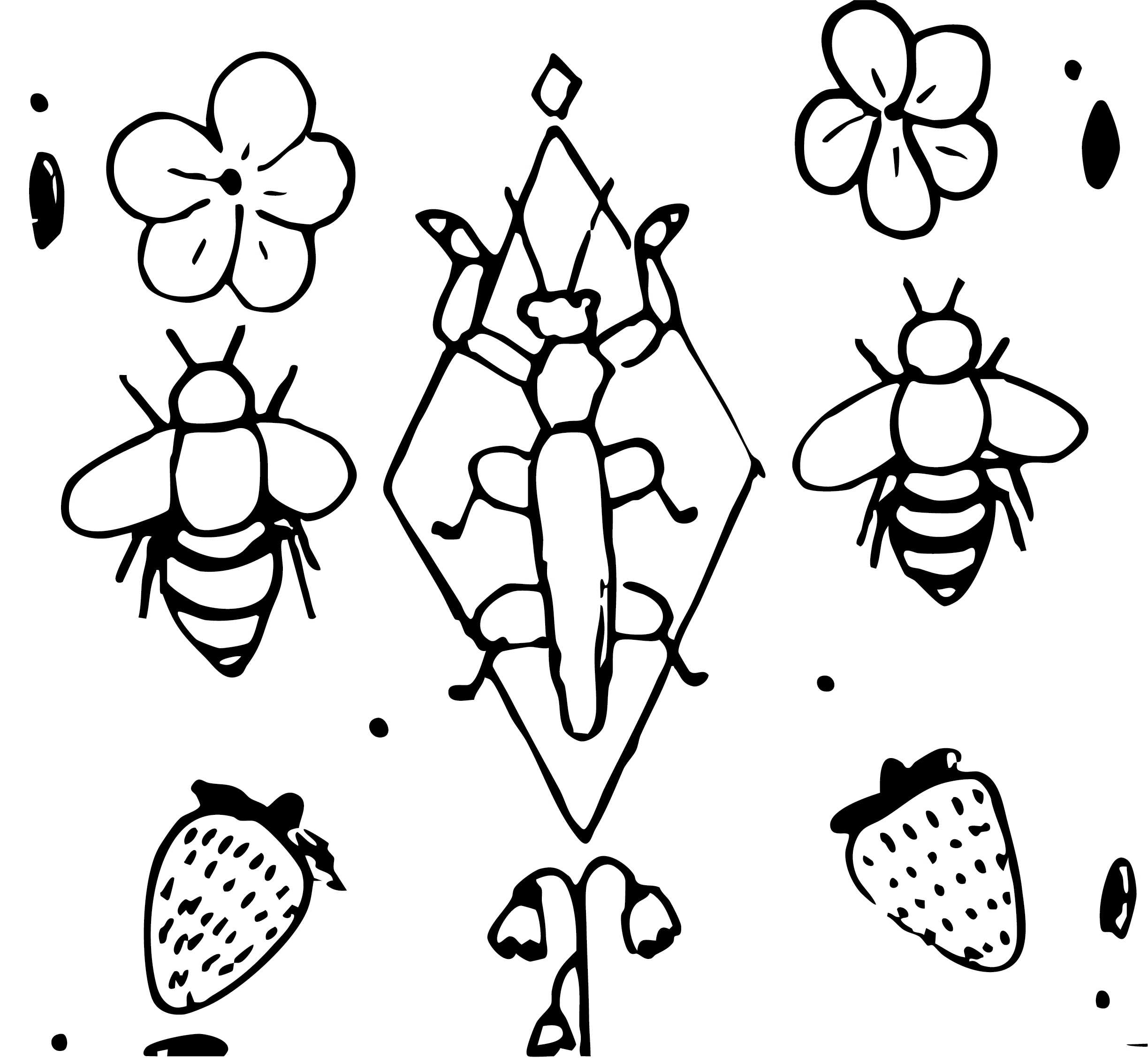 bug card 3_1.png