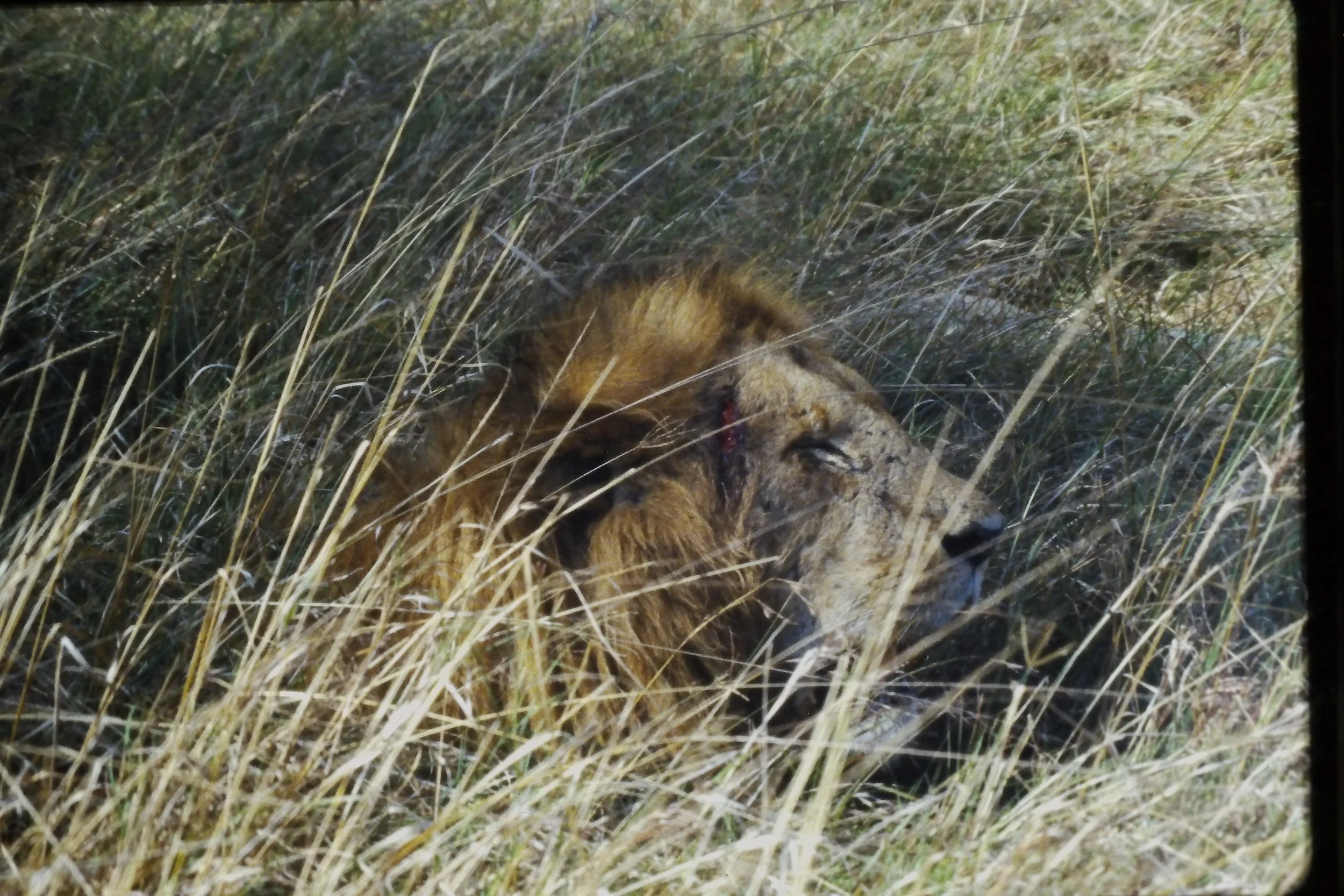 IMAG0177.JPG