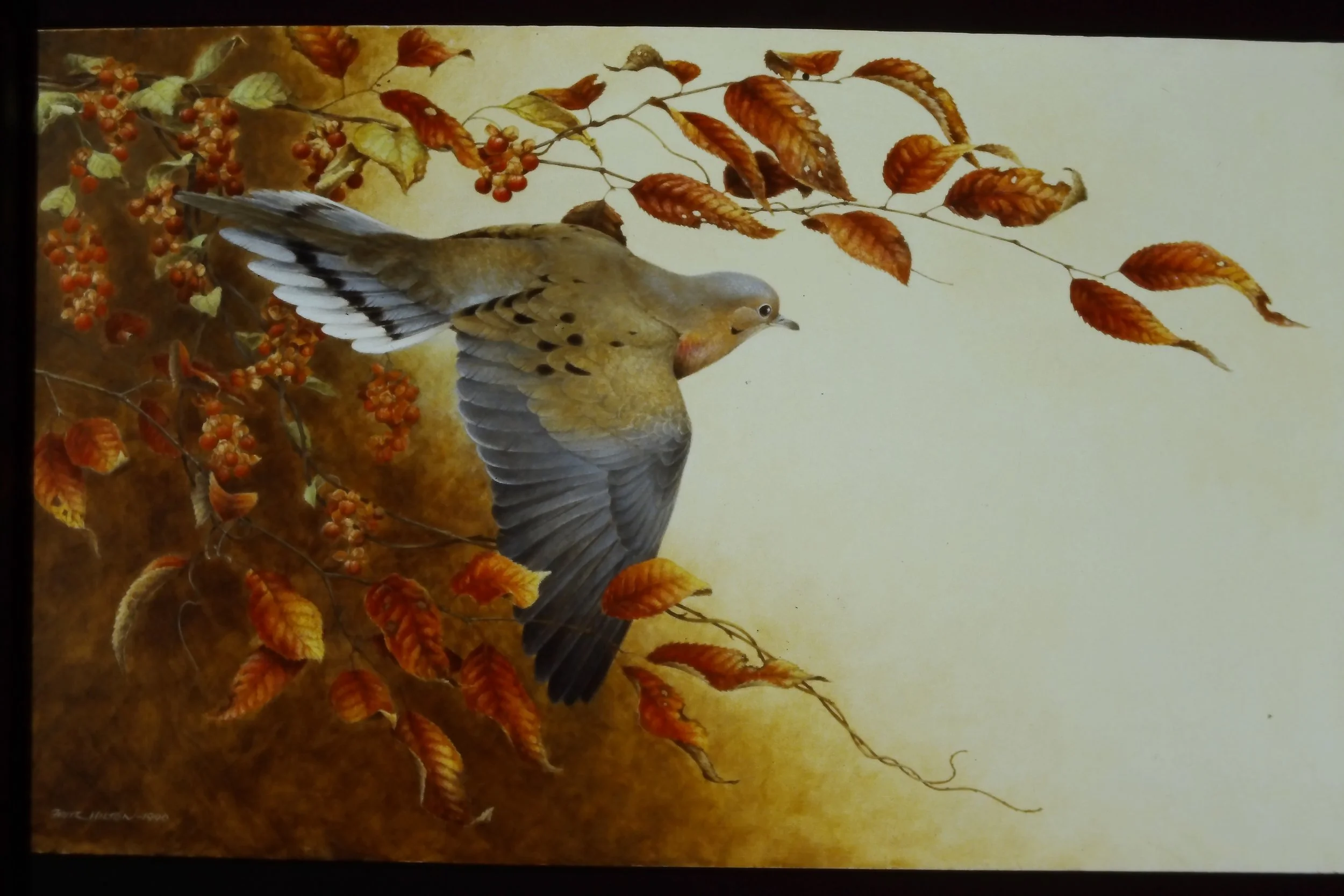 IMAG0086.JPG