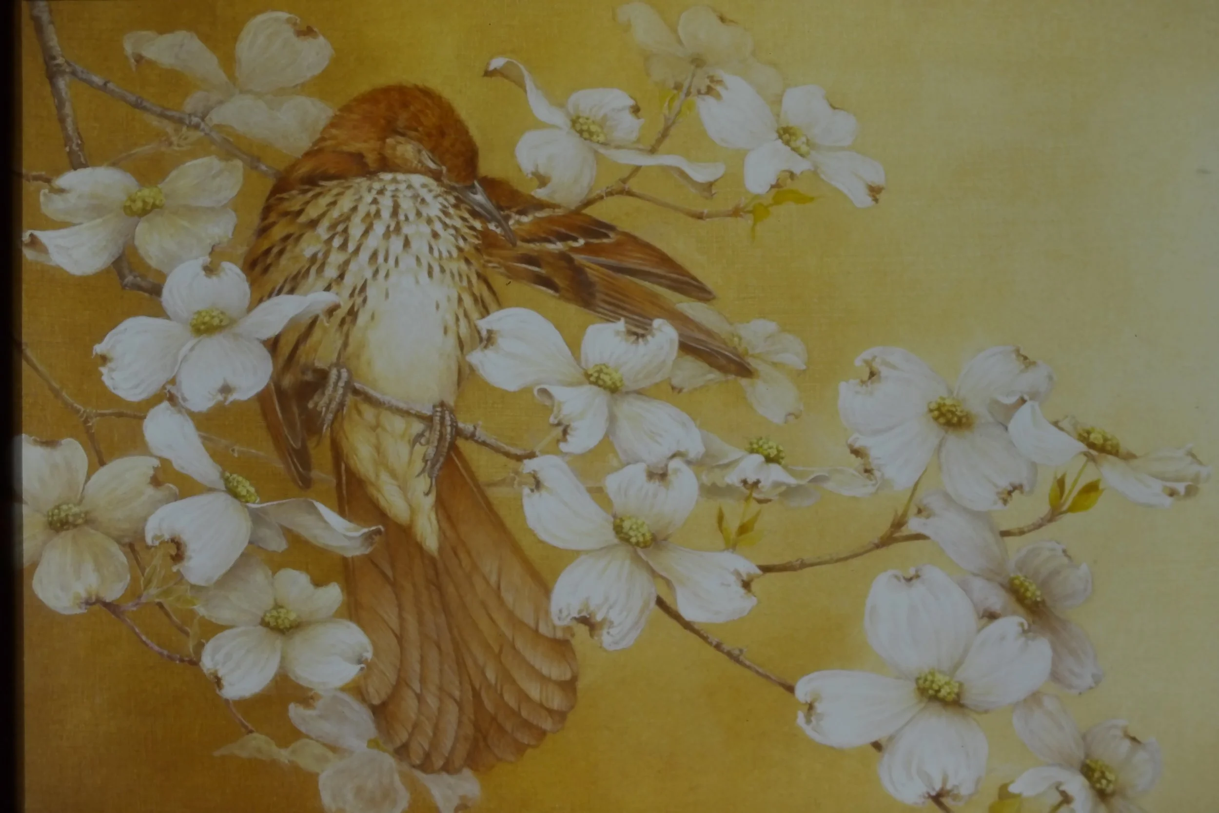 IMAG0114.JPG