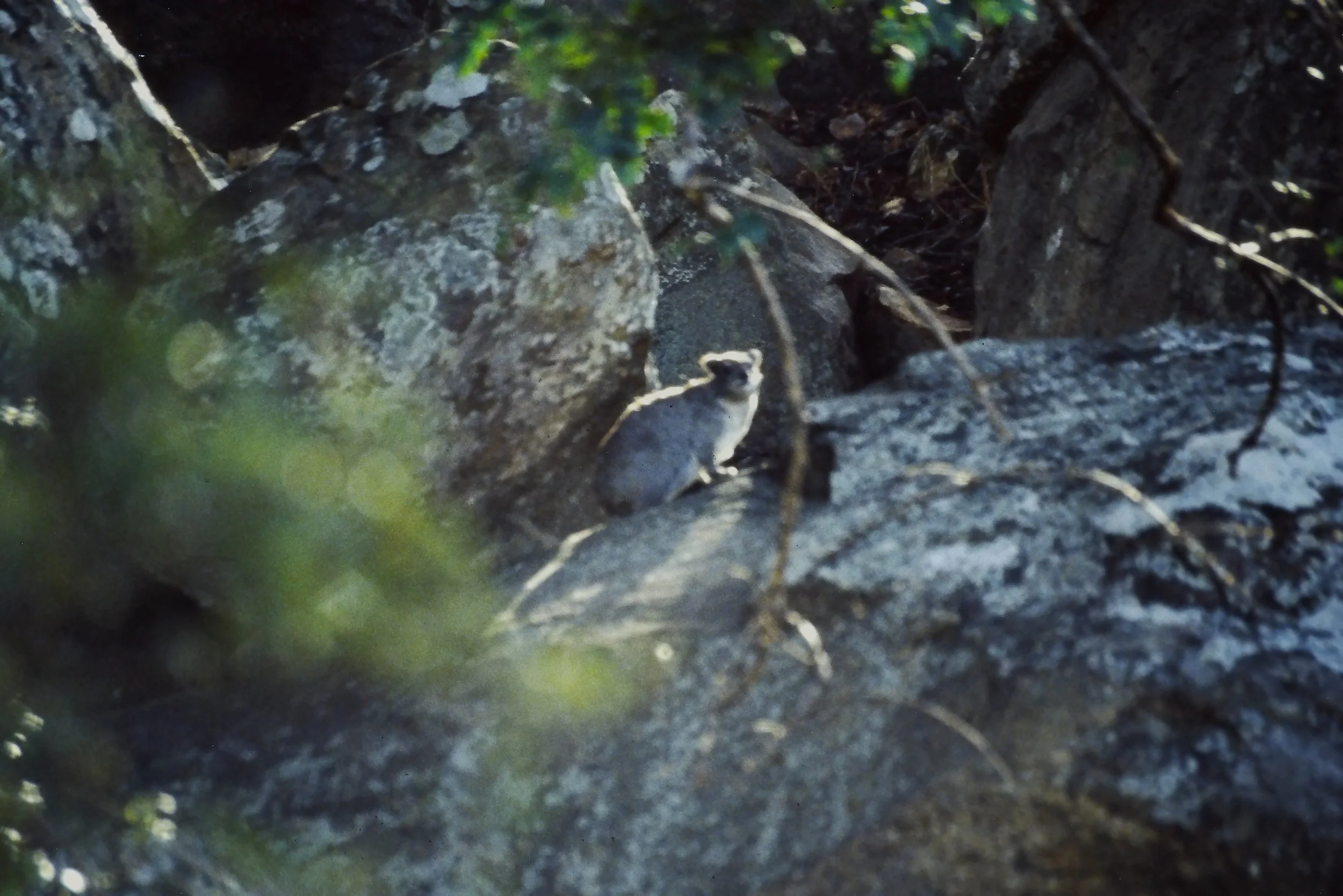IMAG0253.JPG