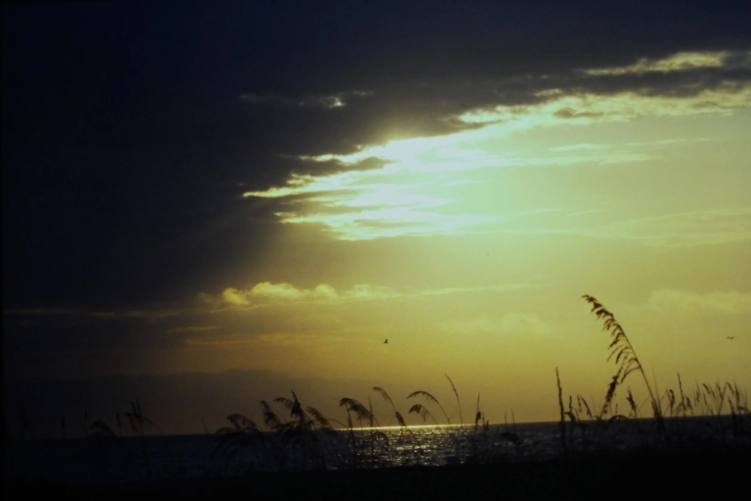 IMAG0222.JPG