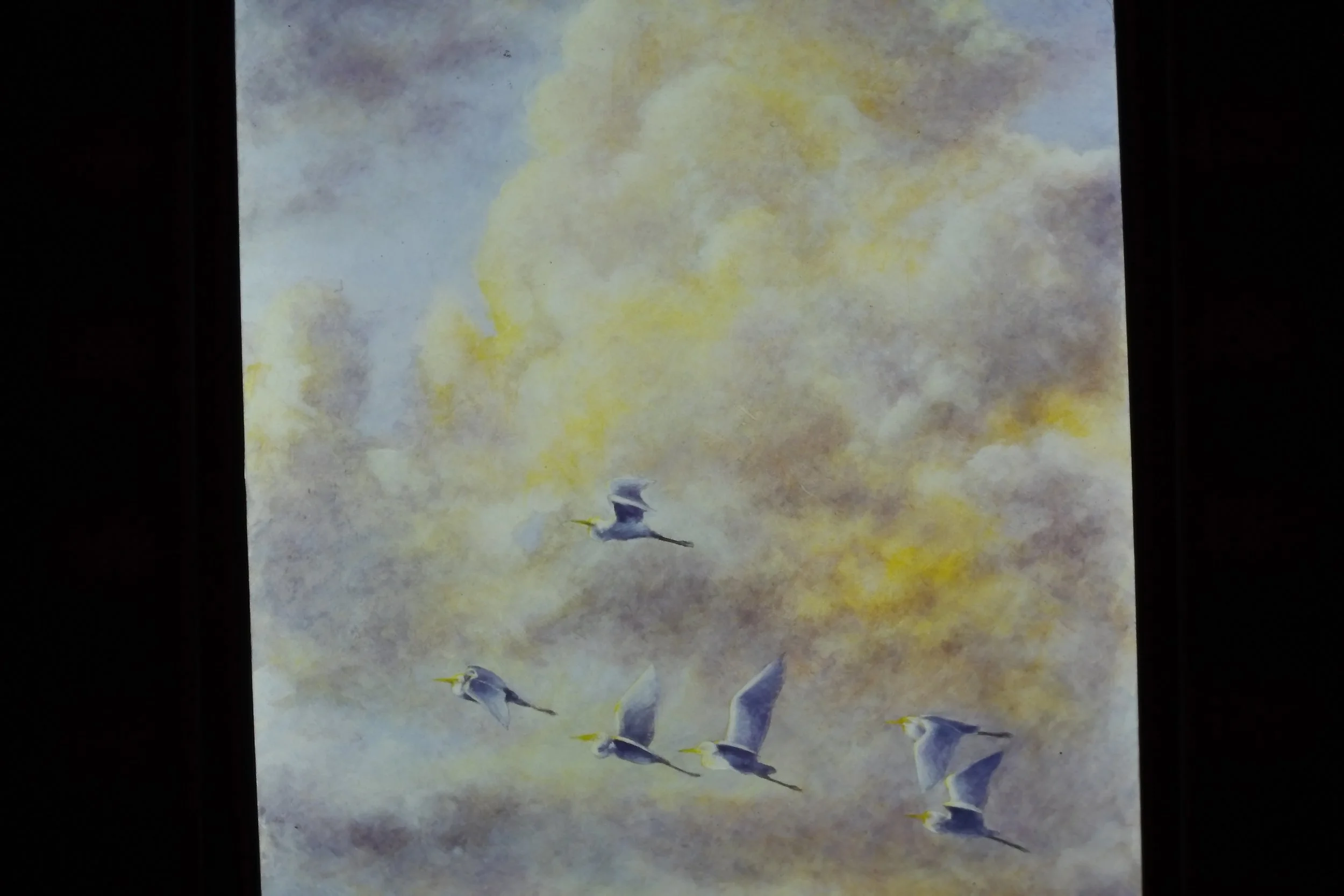 IMAG0037.JPG