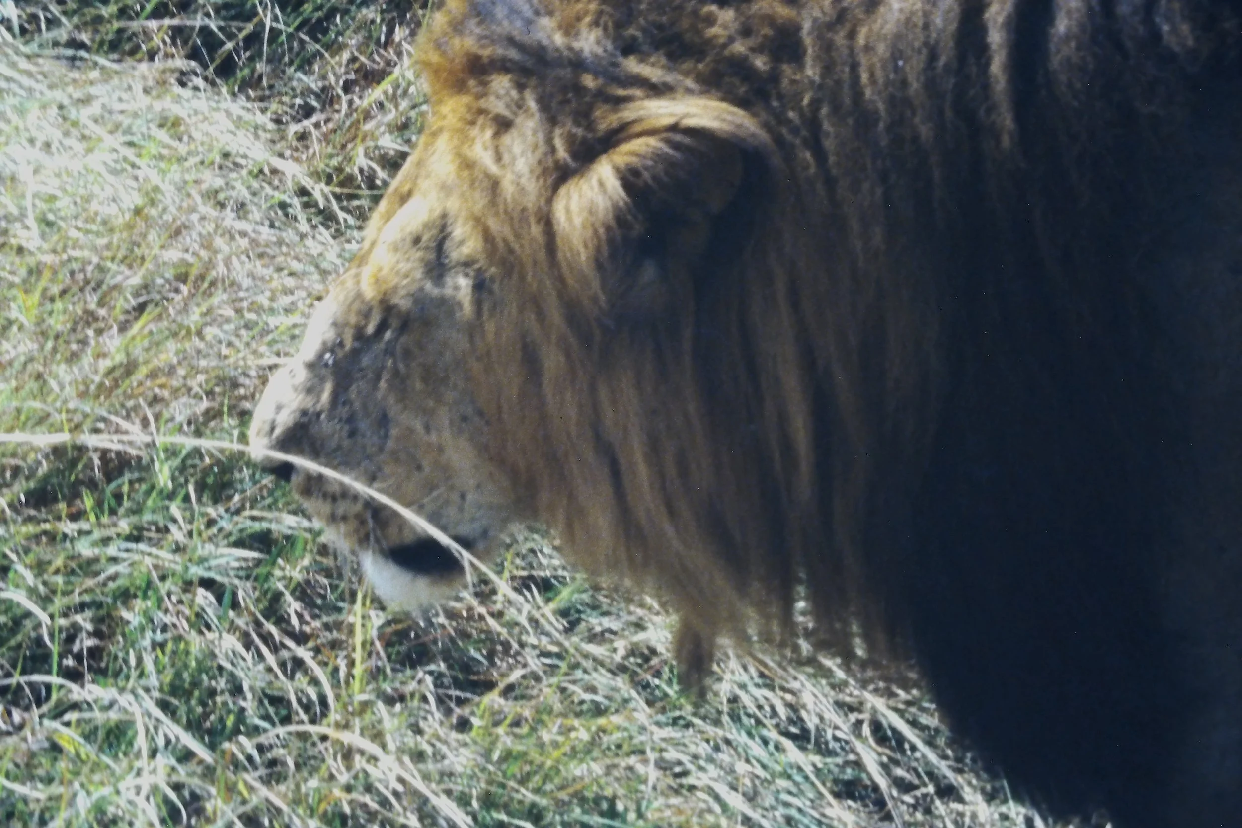 IMAG0188.JPG