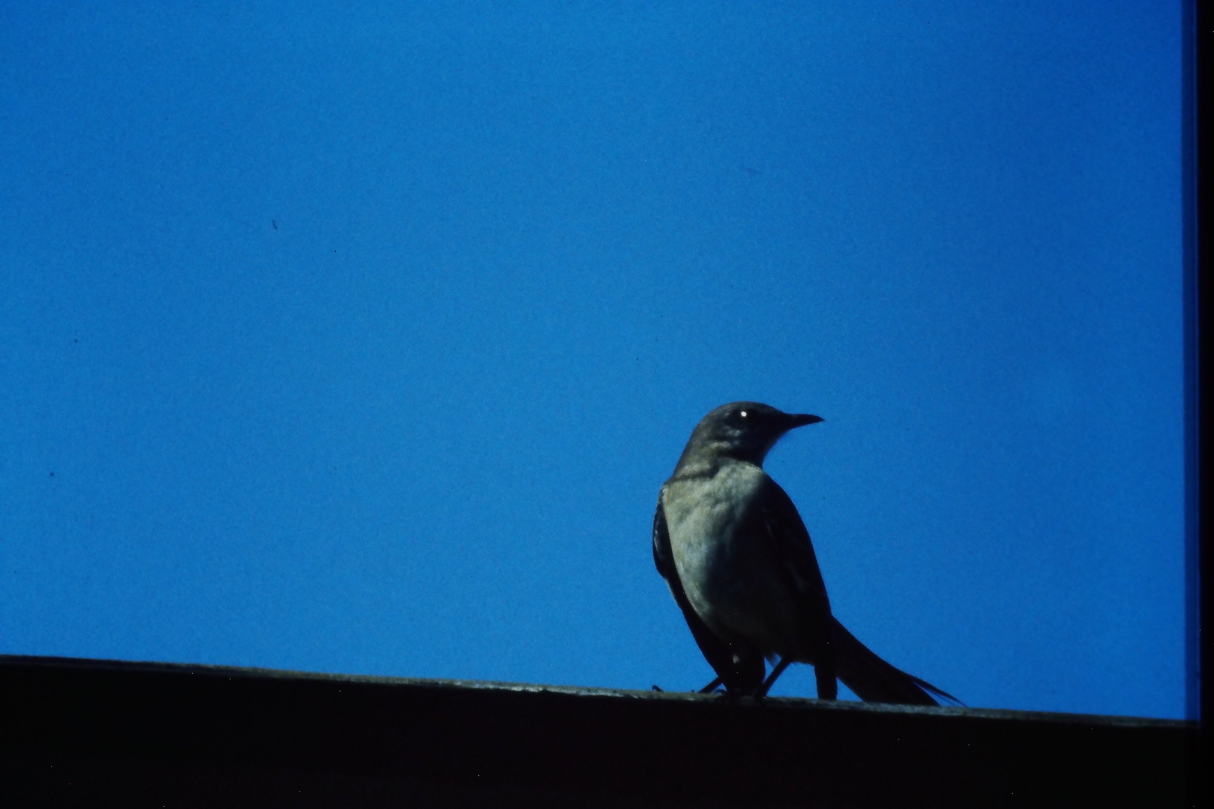 IMAG0214.JPG