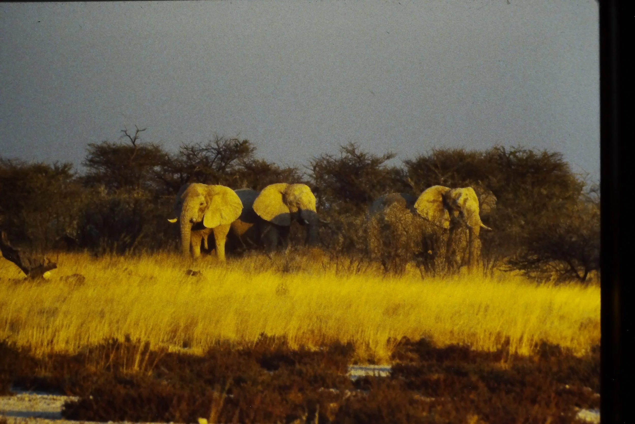 IMAG0169.JPG