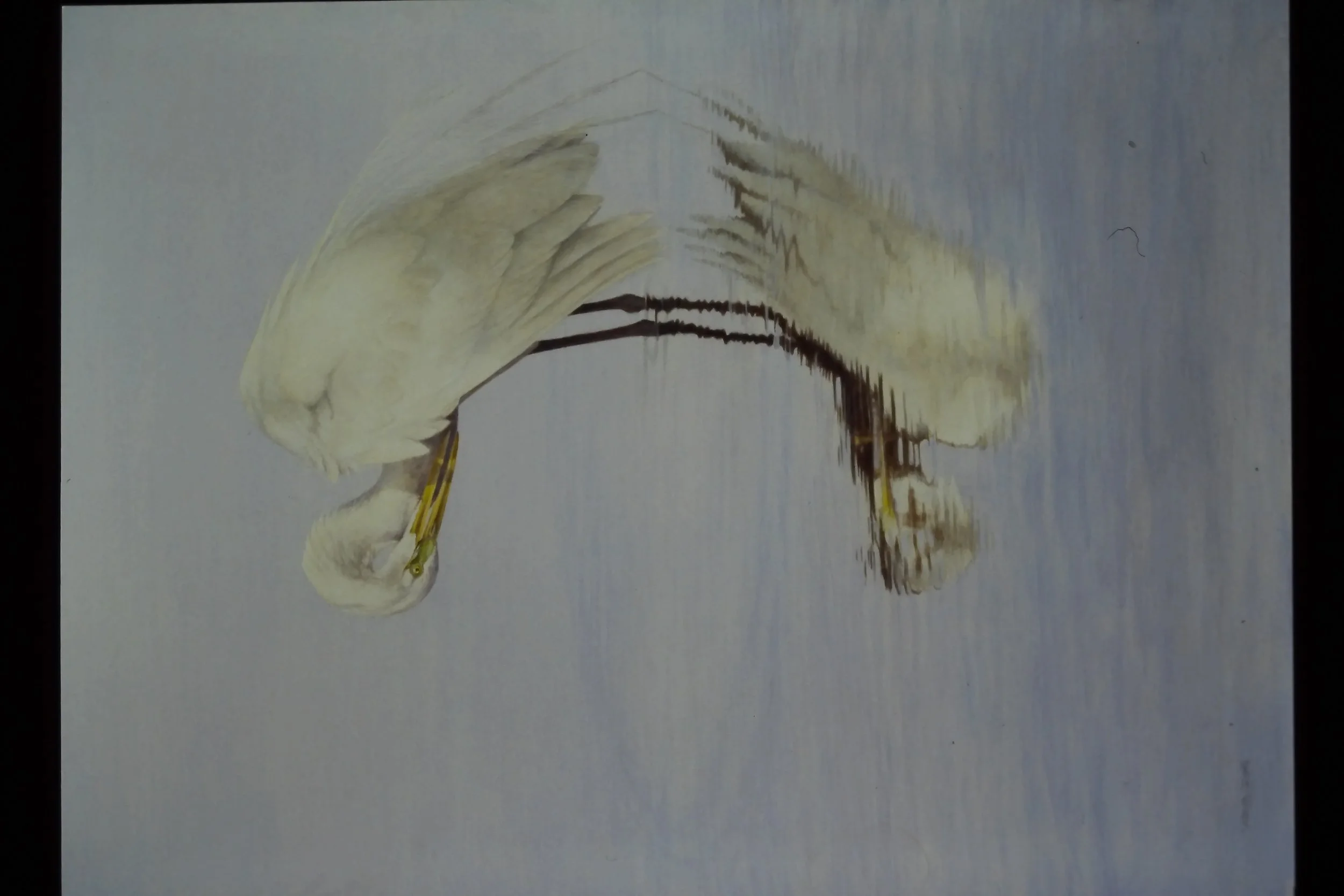 IMAG0049.JPG