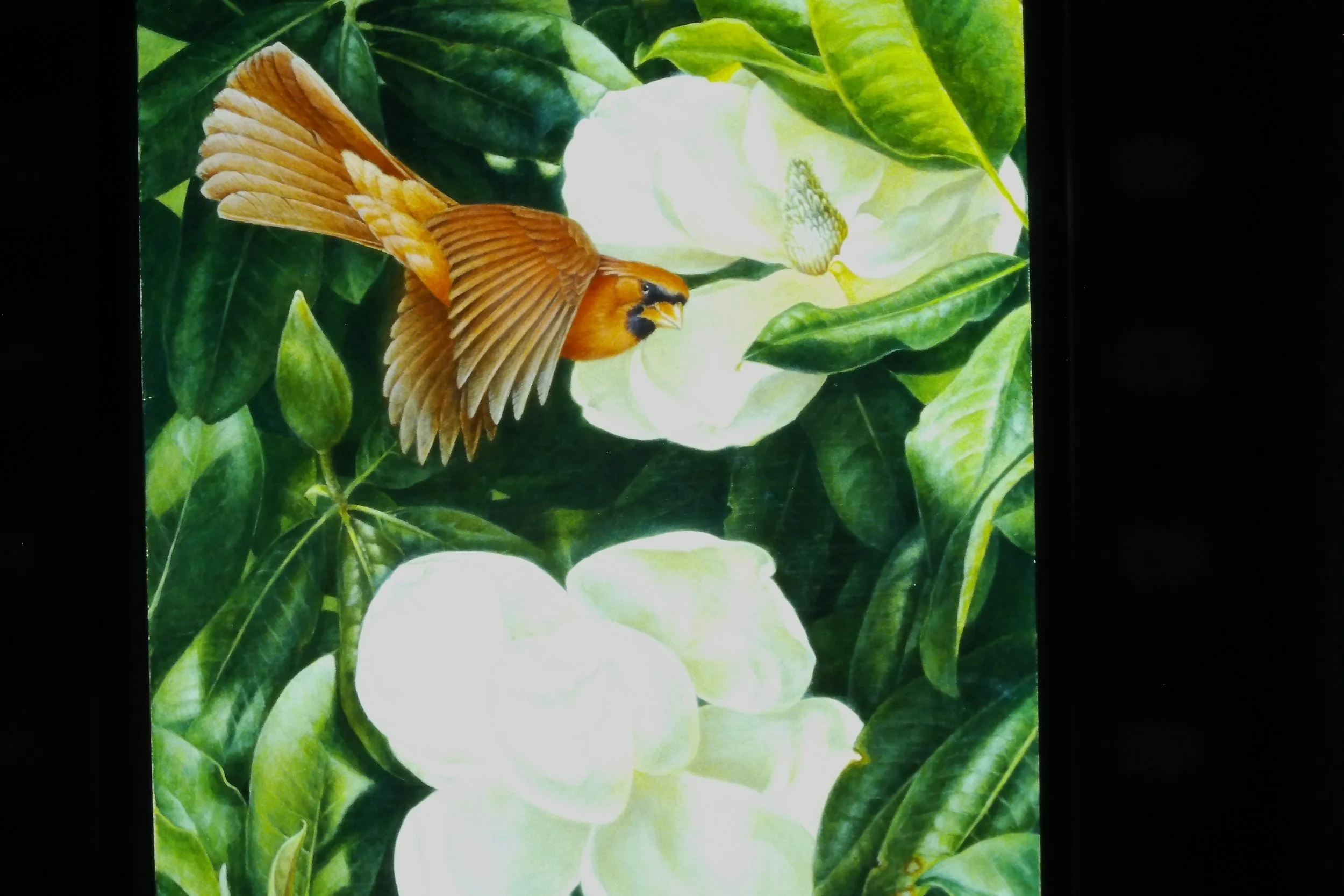 IMAG0041.JPG
