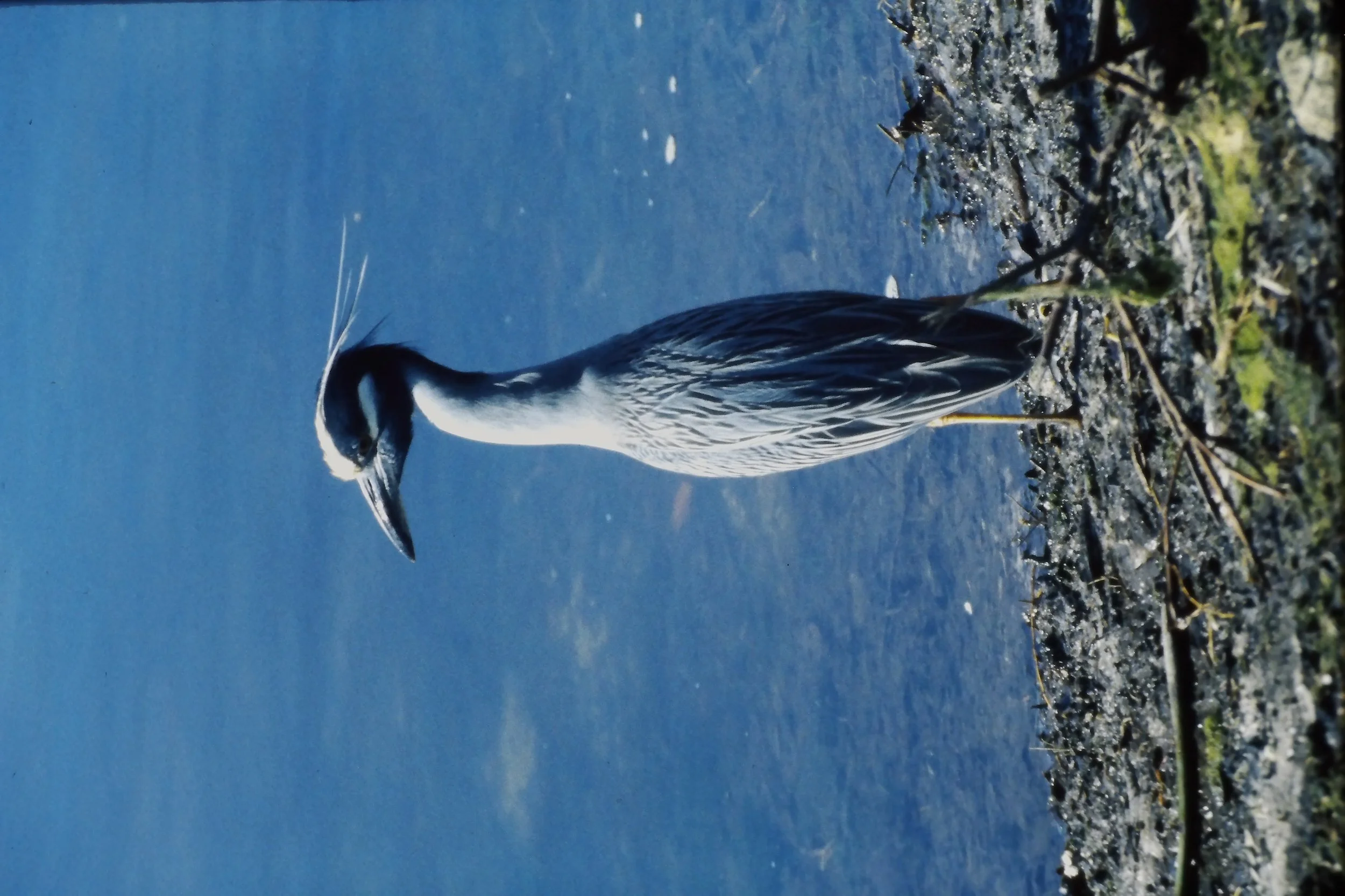 IMAG0202.JPG