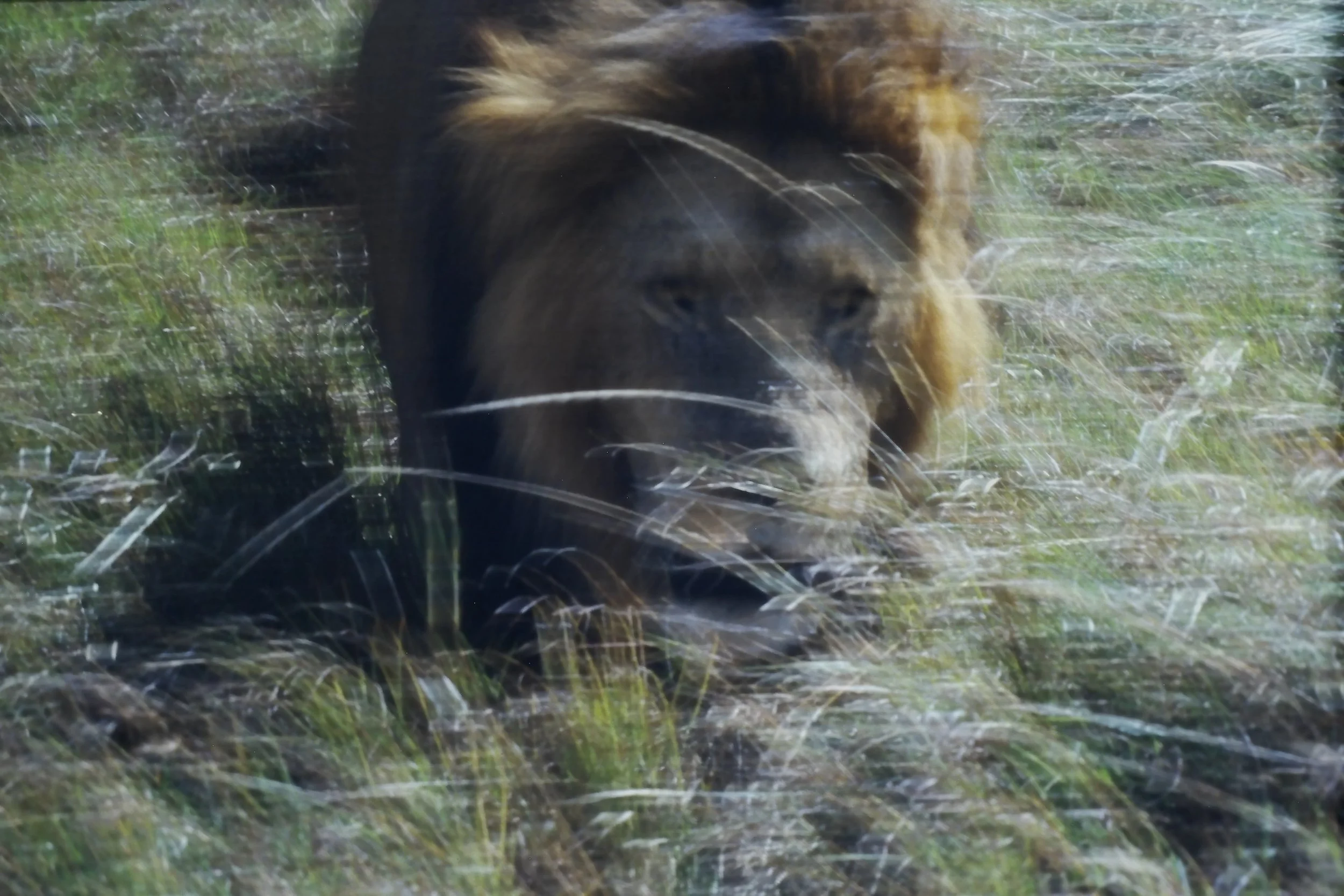 IMAG0181.JPG