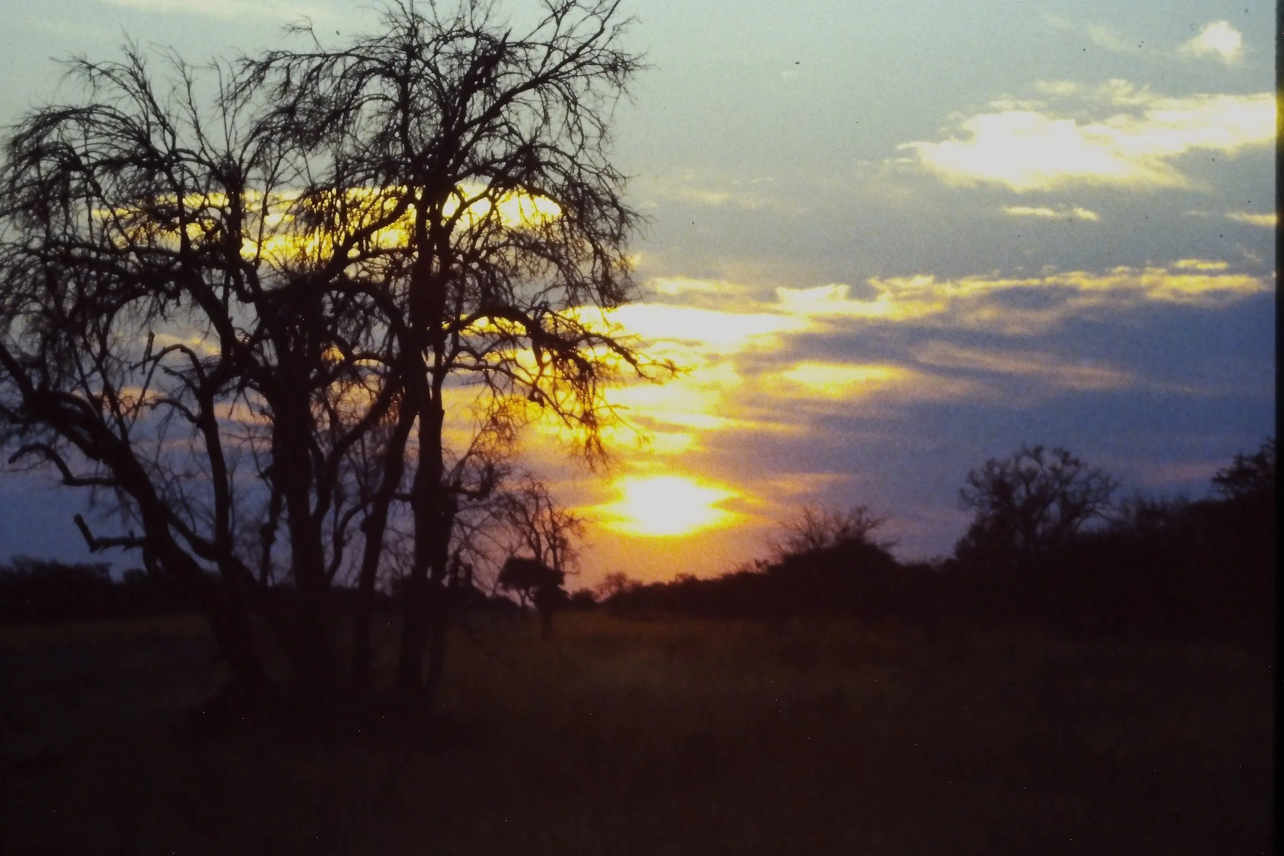 IMAG0255.JPG