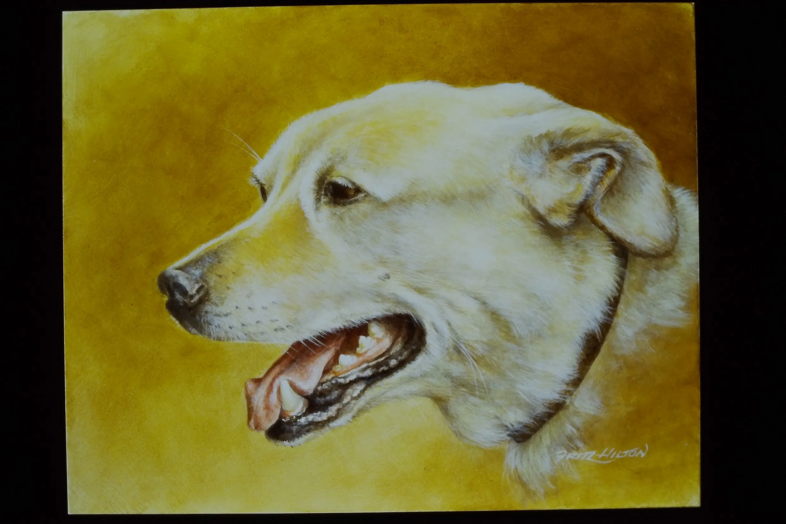 IMAG0026.JPG