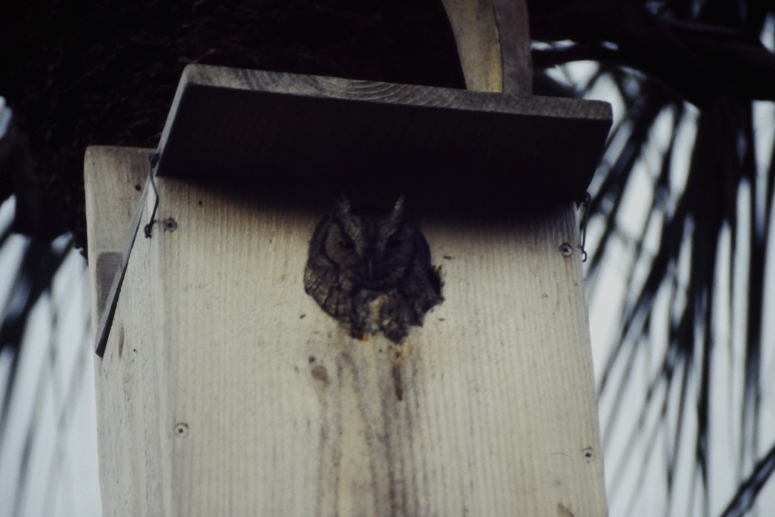 IMAG0239.JPG