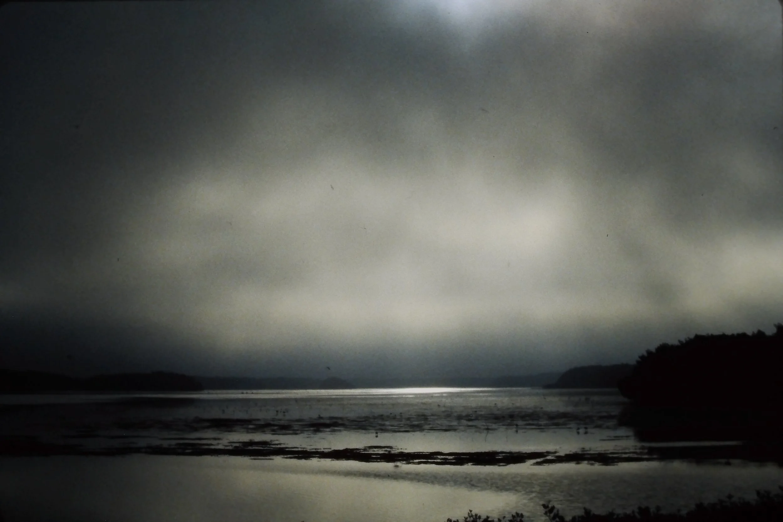 IMAG0199.JPG