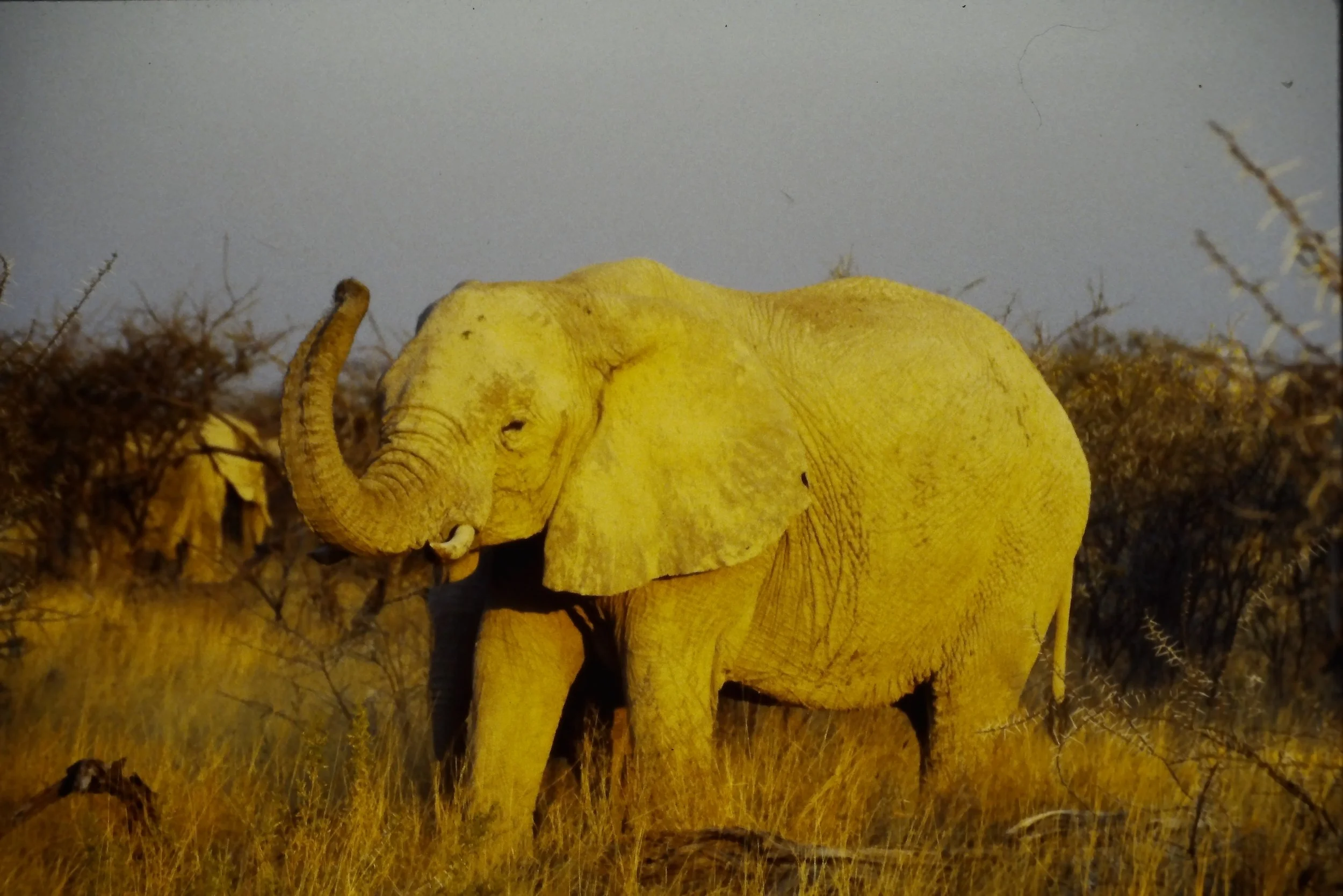 IMAG0166.JPG