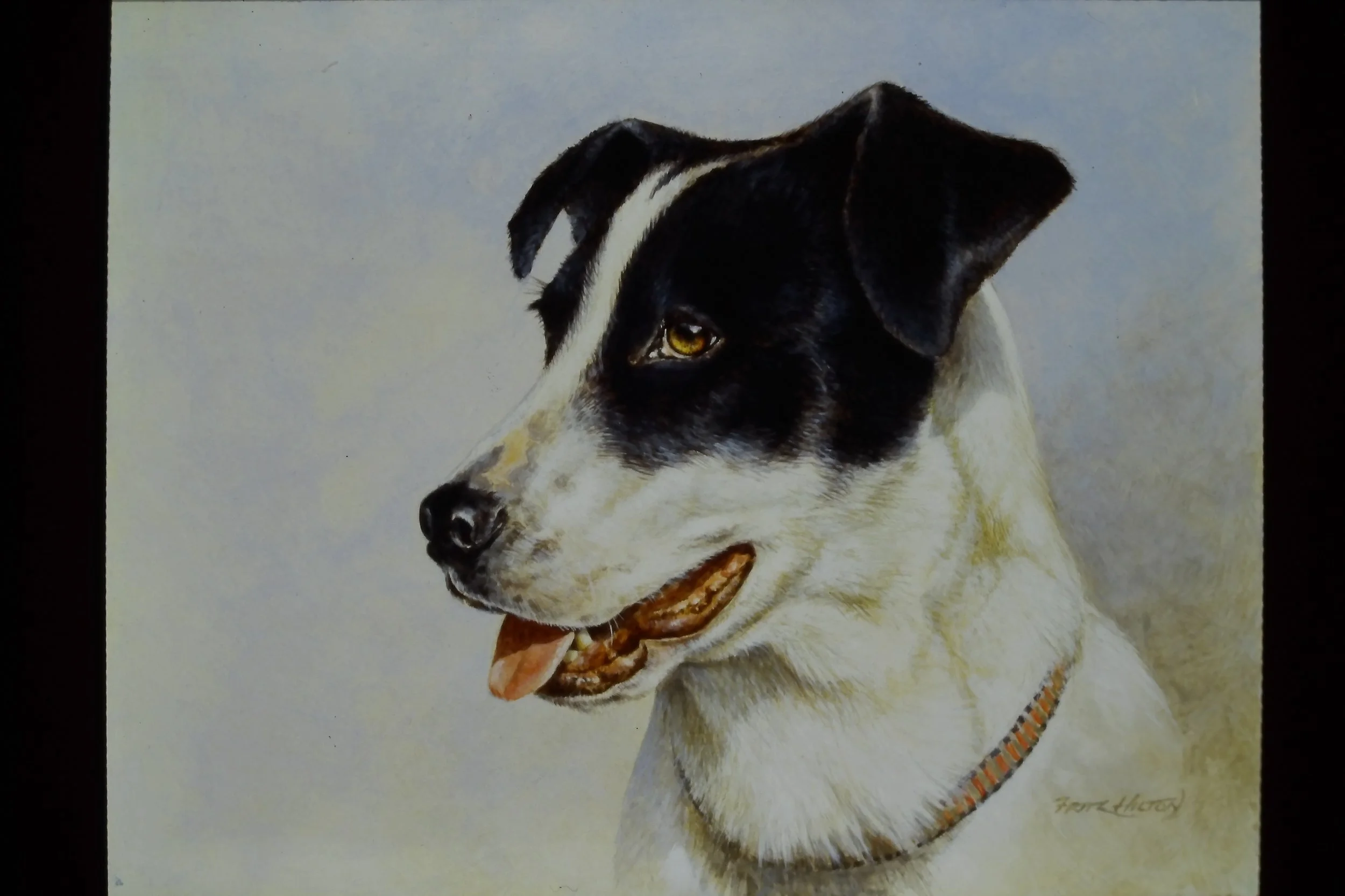 IMAG0025.JPG