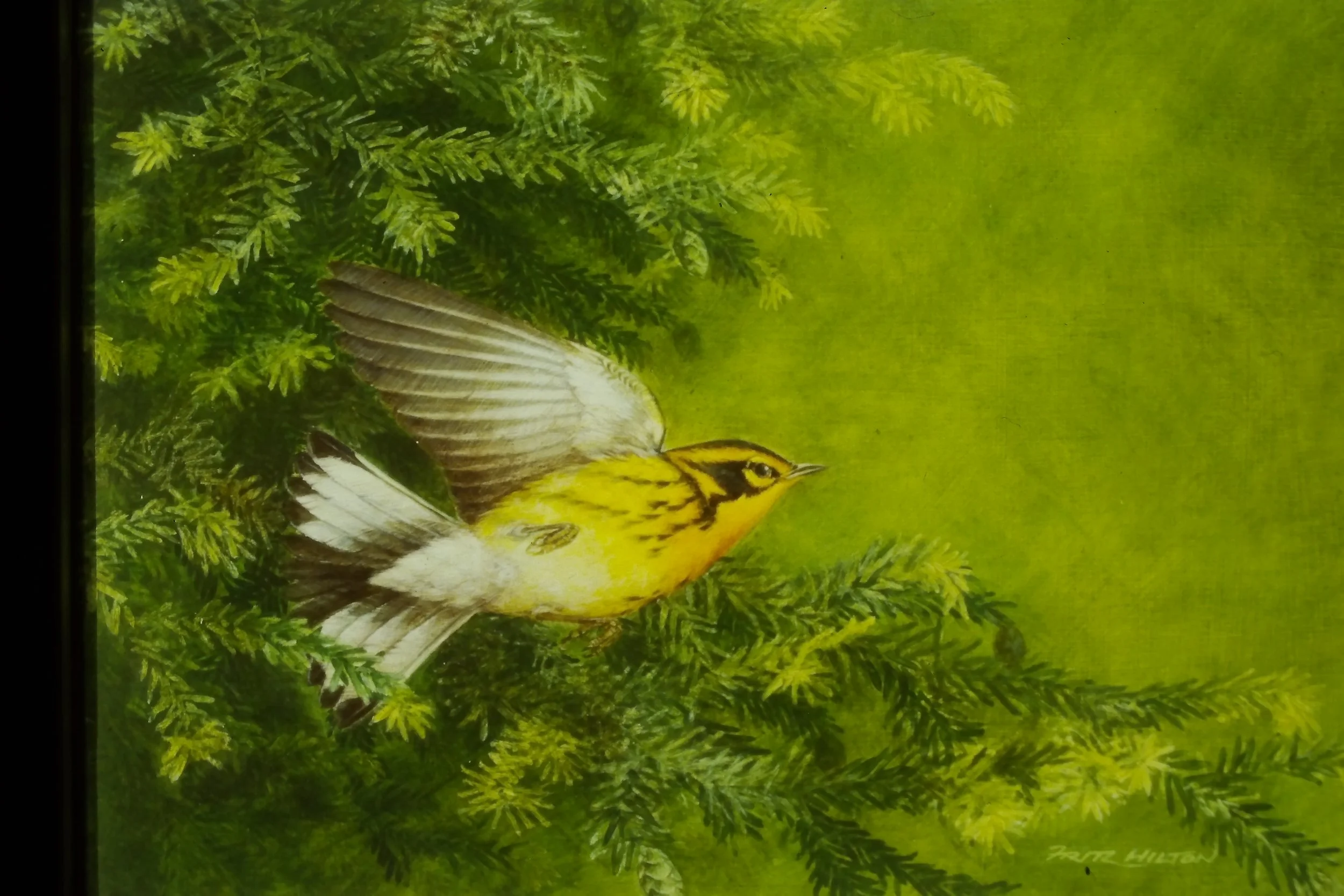 IMAG0140.JPG