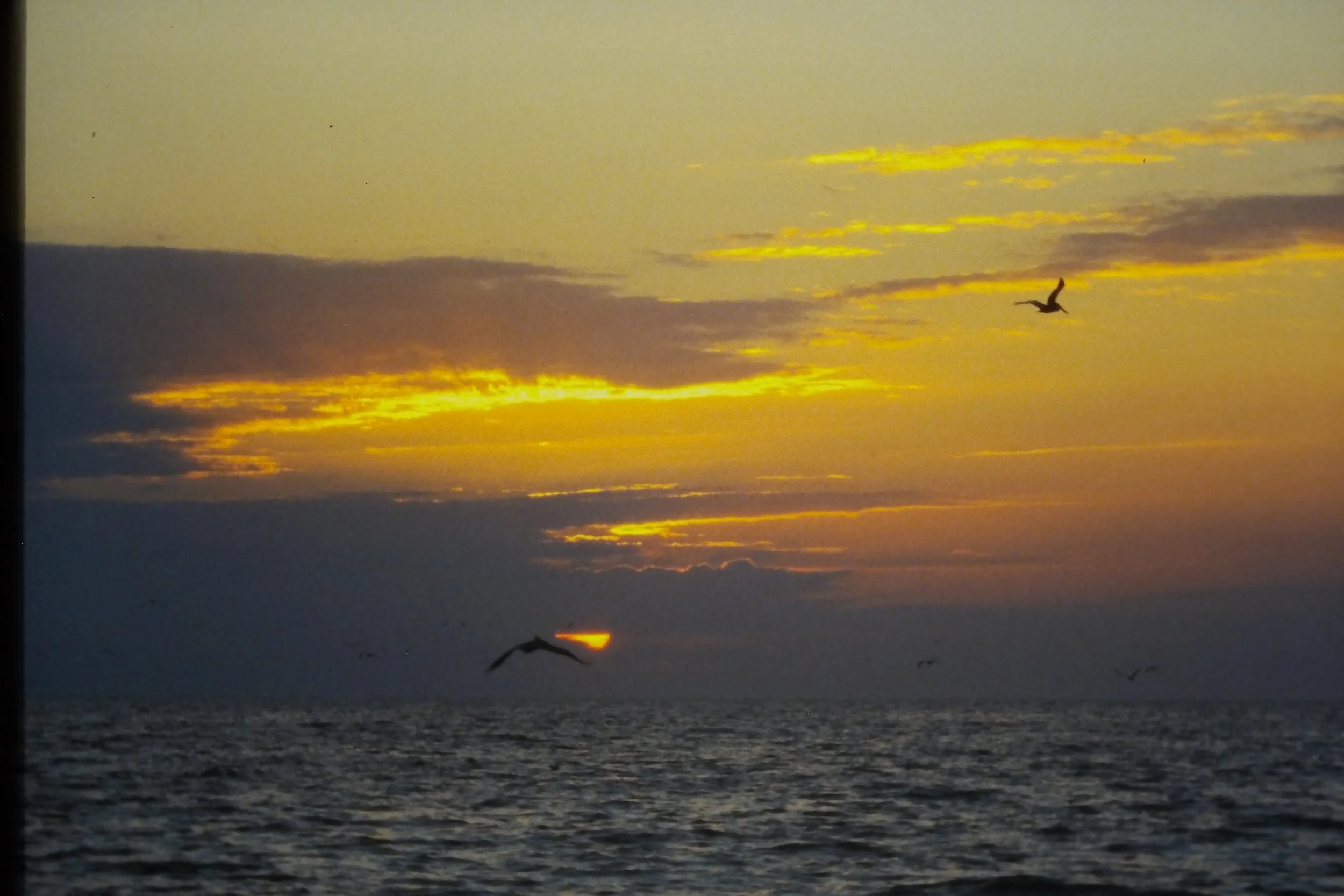 IMAG0221.JPG