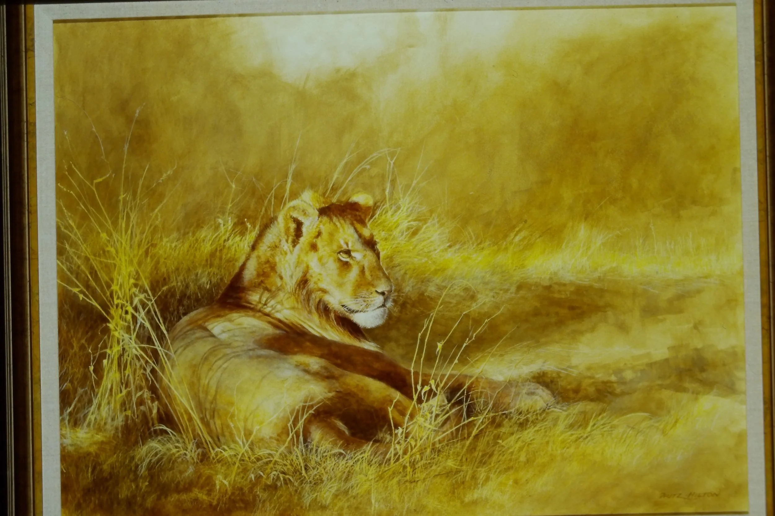 IMAG0081.JPG