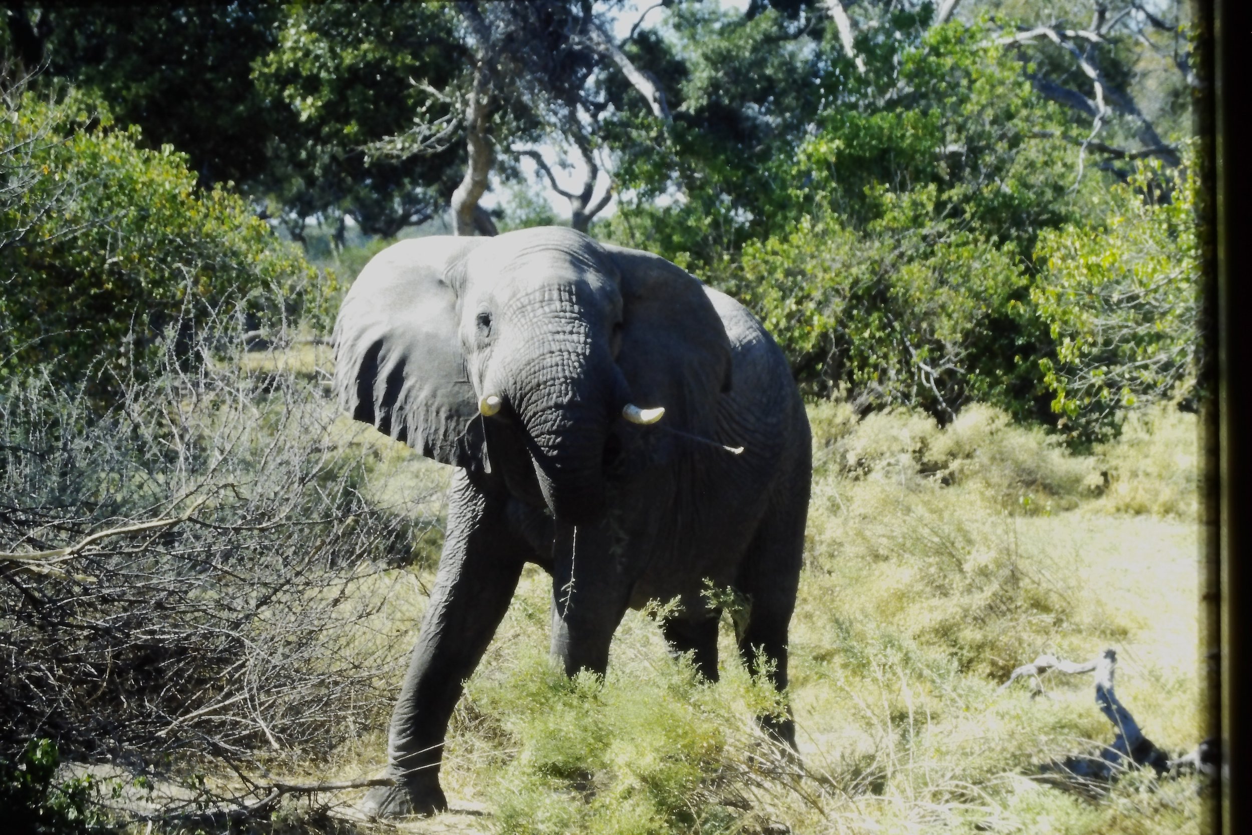 IMAG0176.JPG