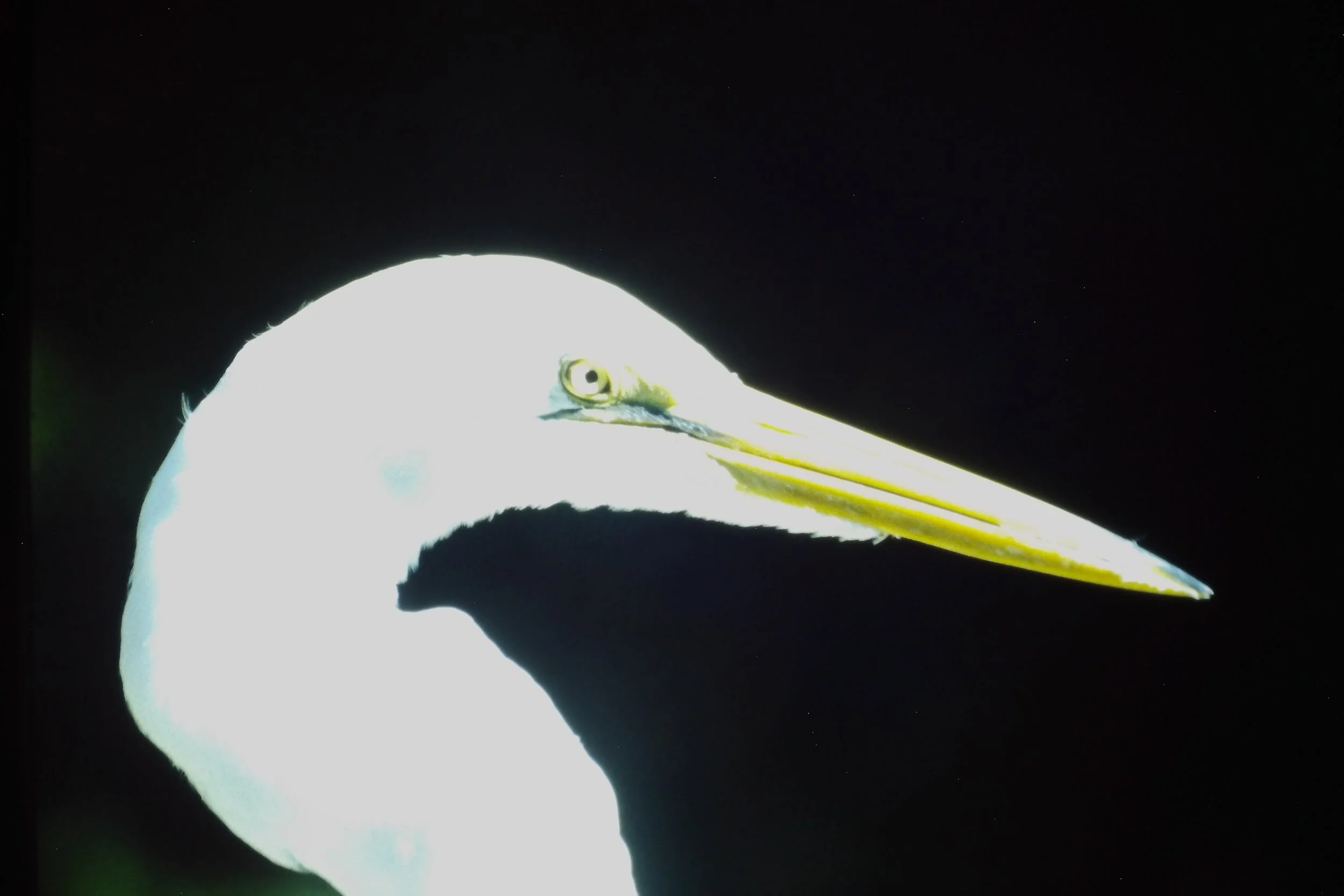 IMAG0207.JPG