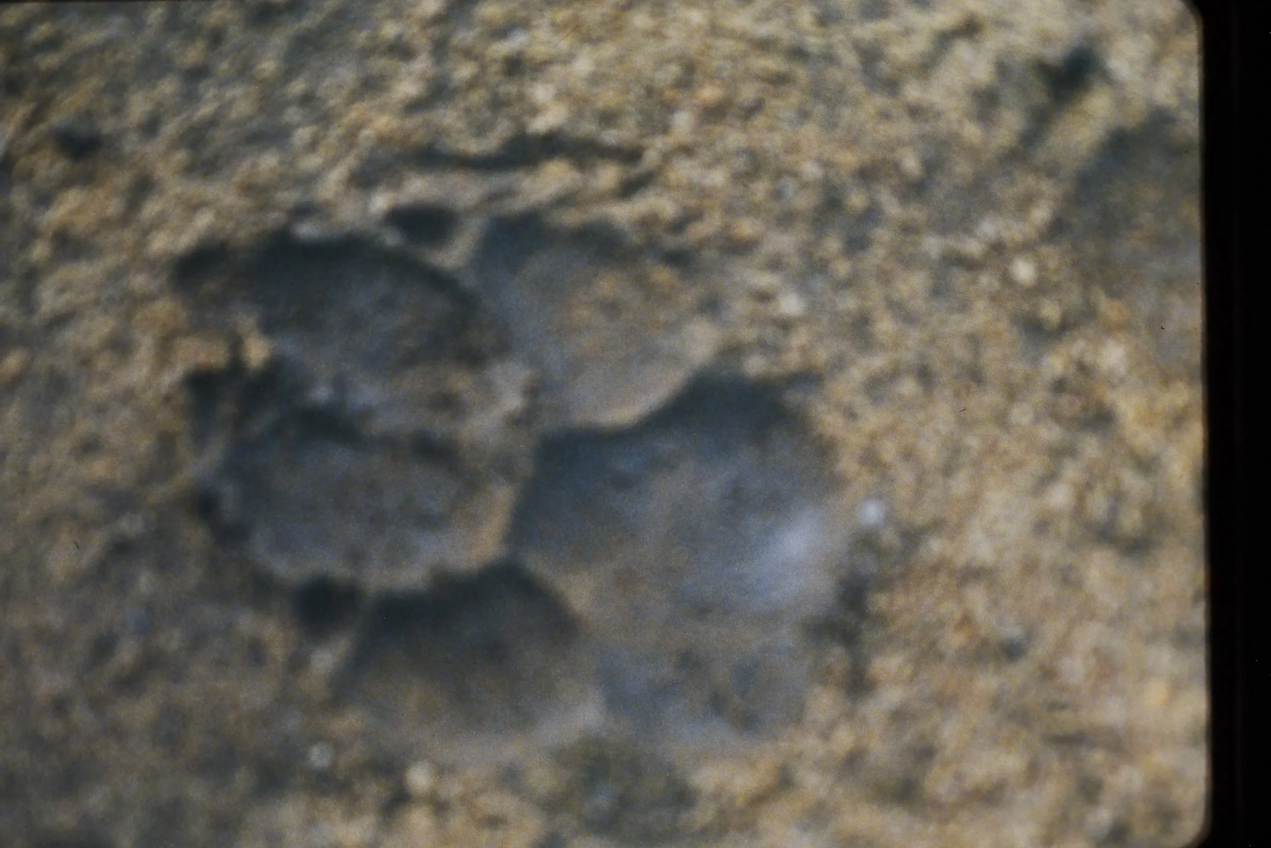 IMAG0153.JPG