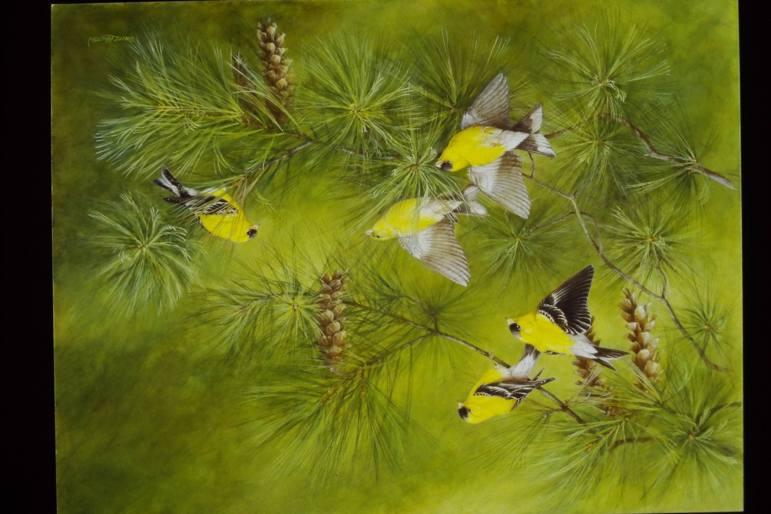 IMAG0078.JPG