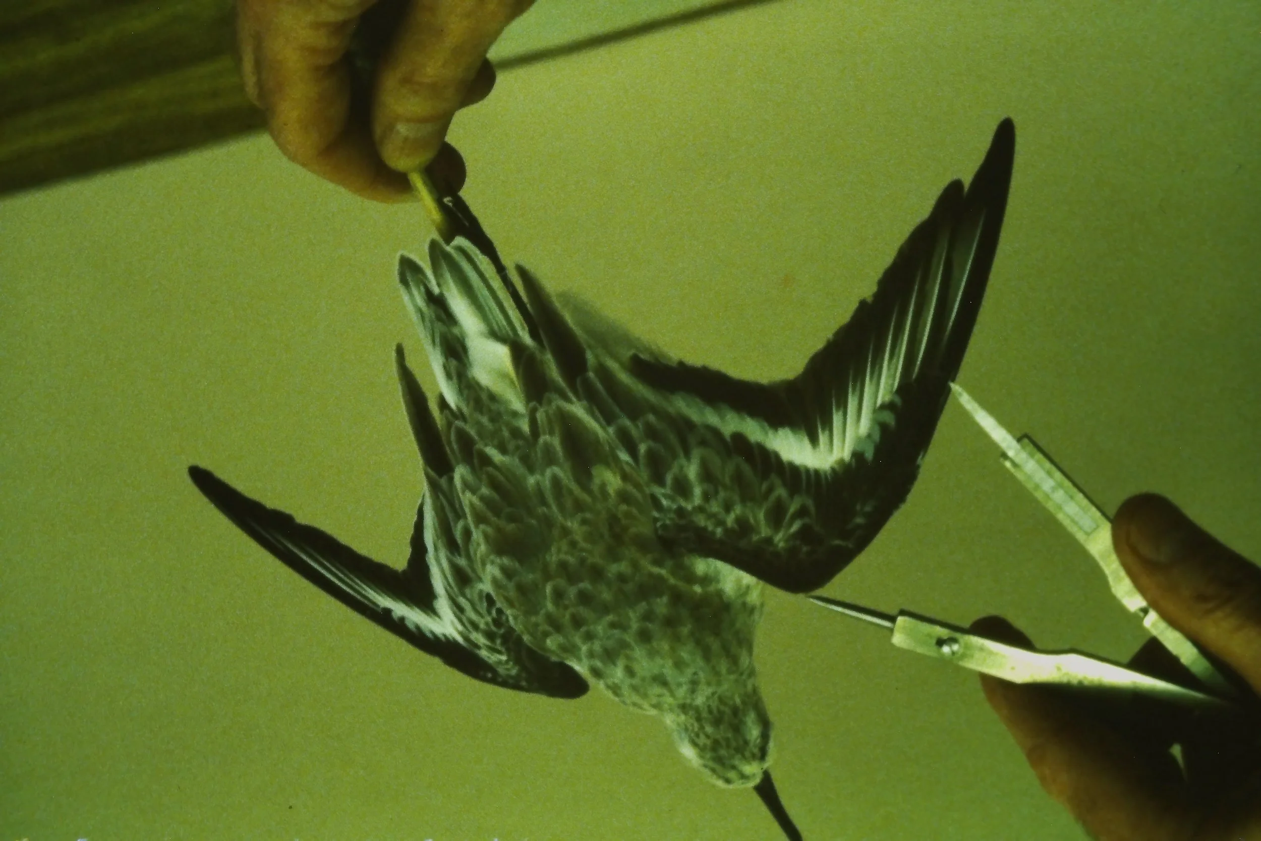 IMAG0246.JPG