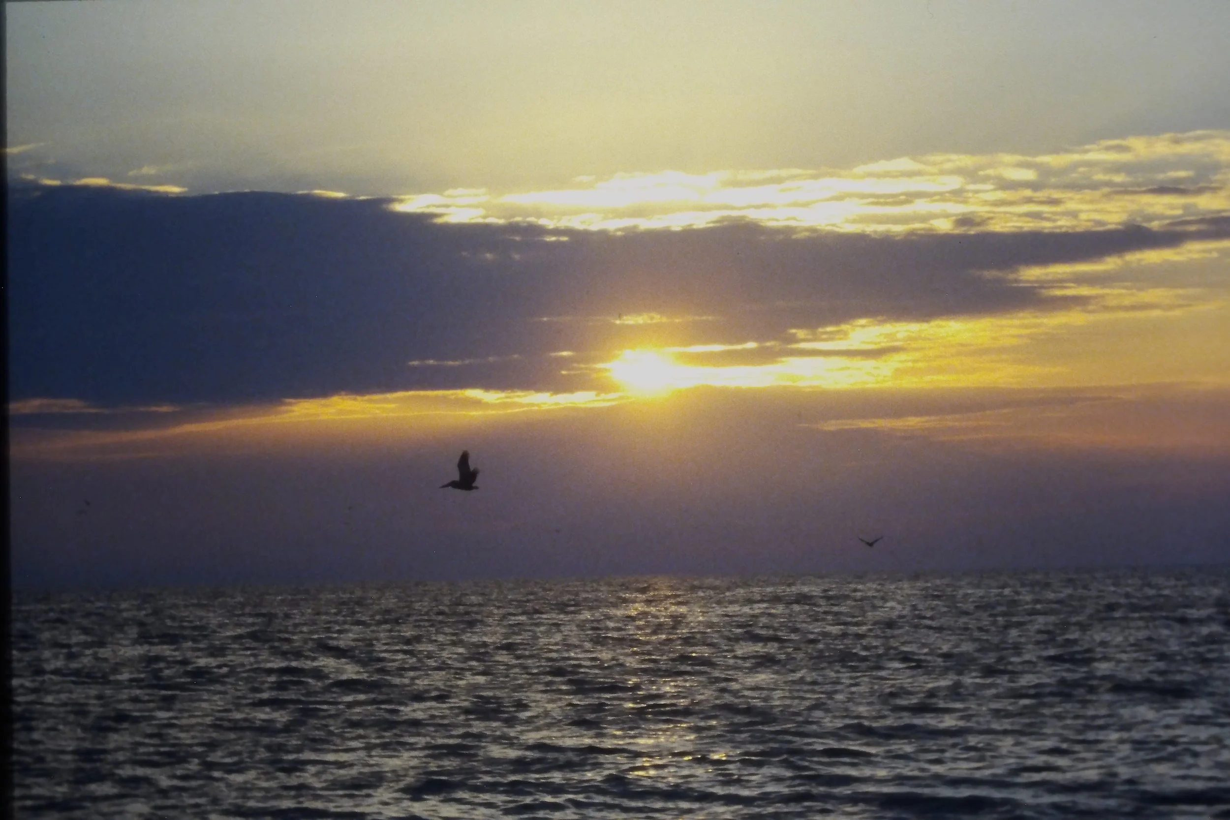 IMAG0228.JPG