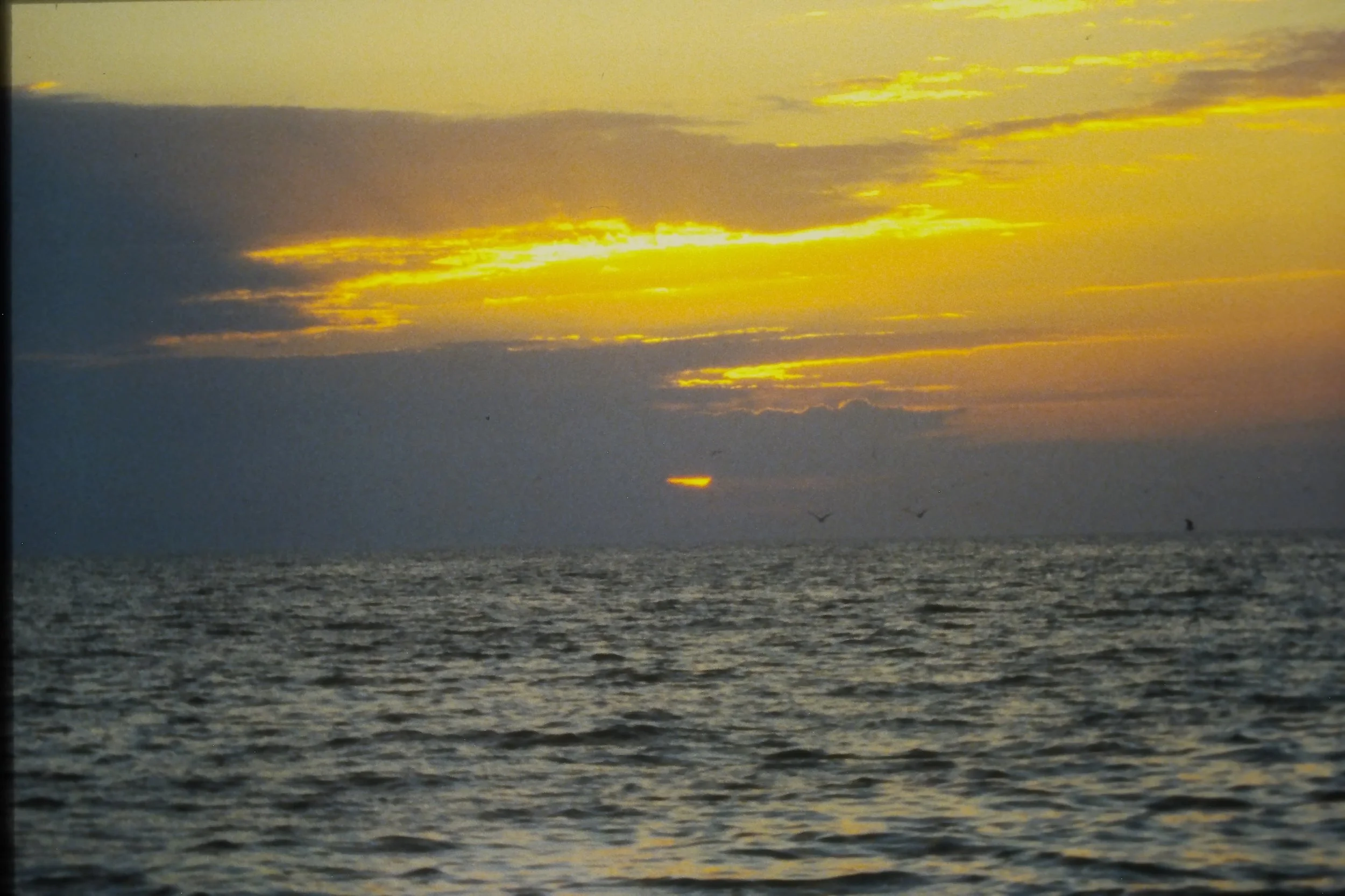 IMAG0225.JPG