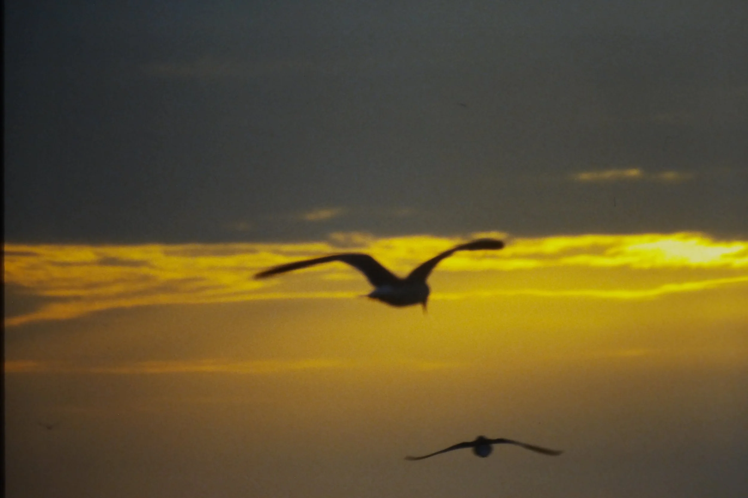 IMAG0229.JPG