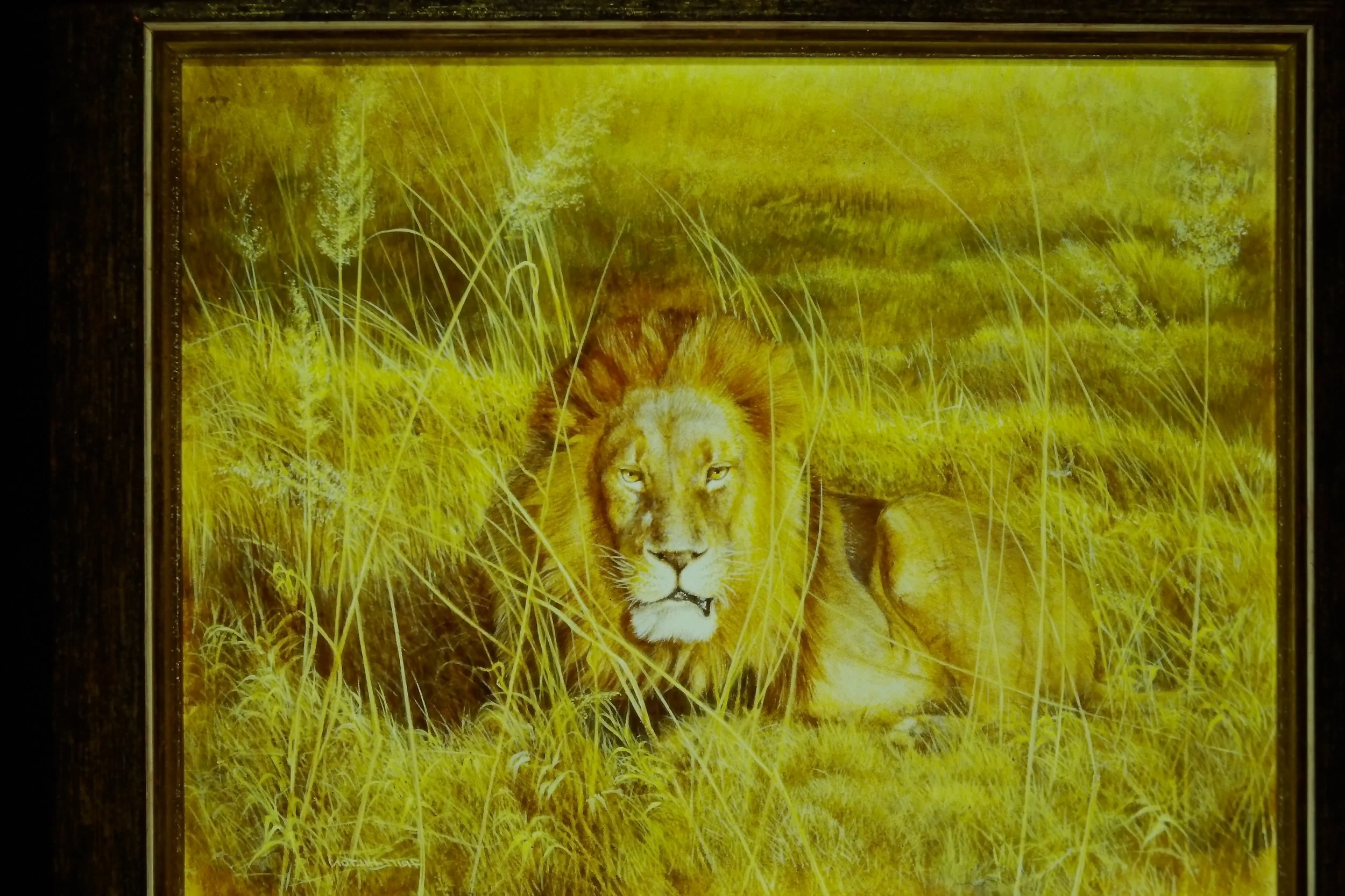 IMAG0019.JPG