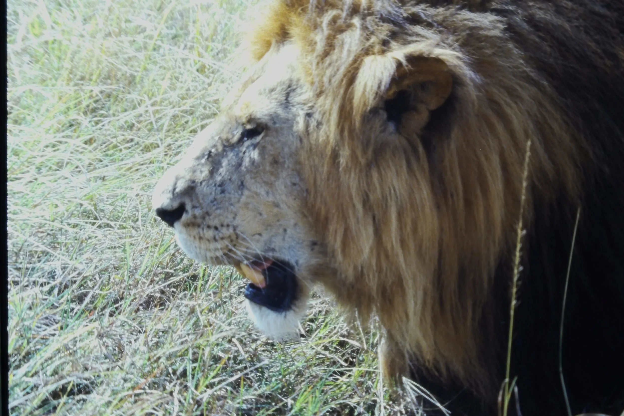 IMAG0187.JPG