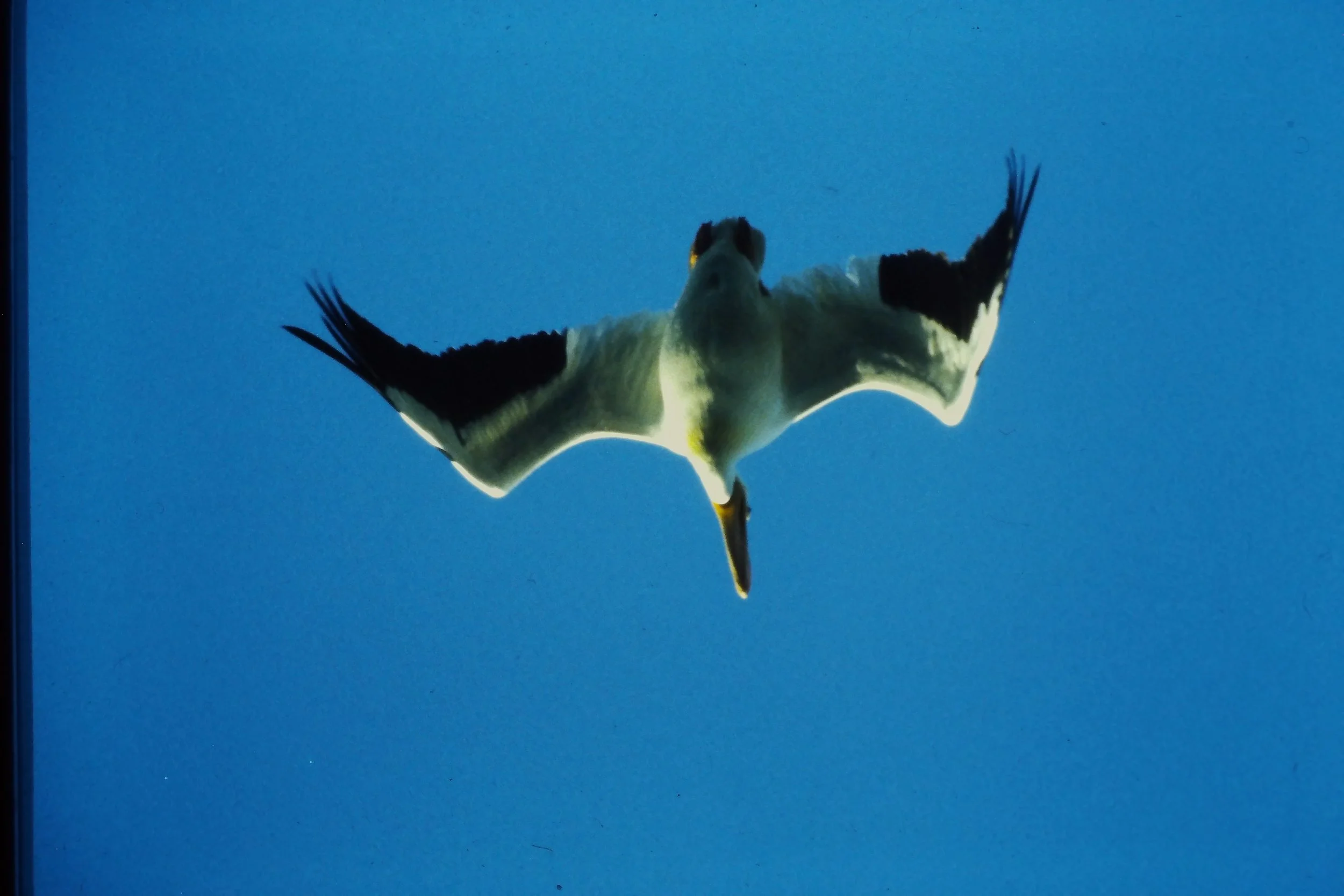 IMAG0210.JPG