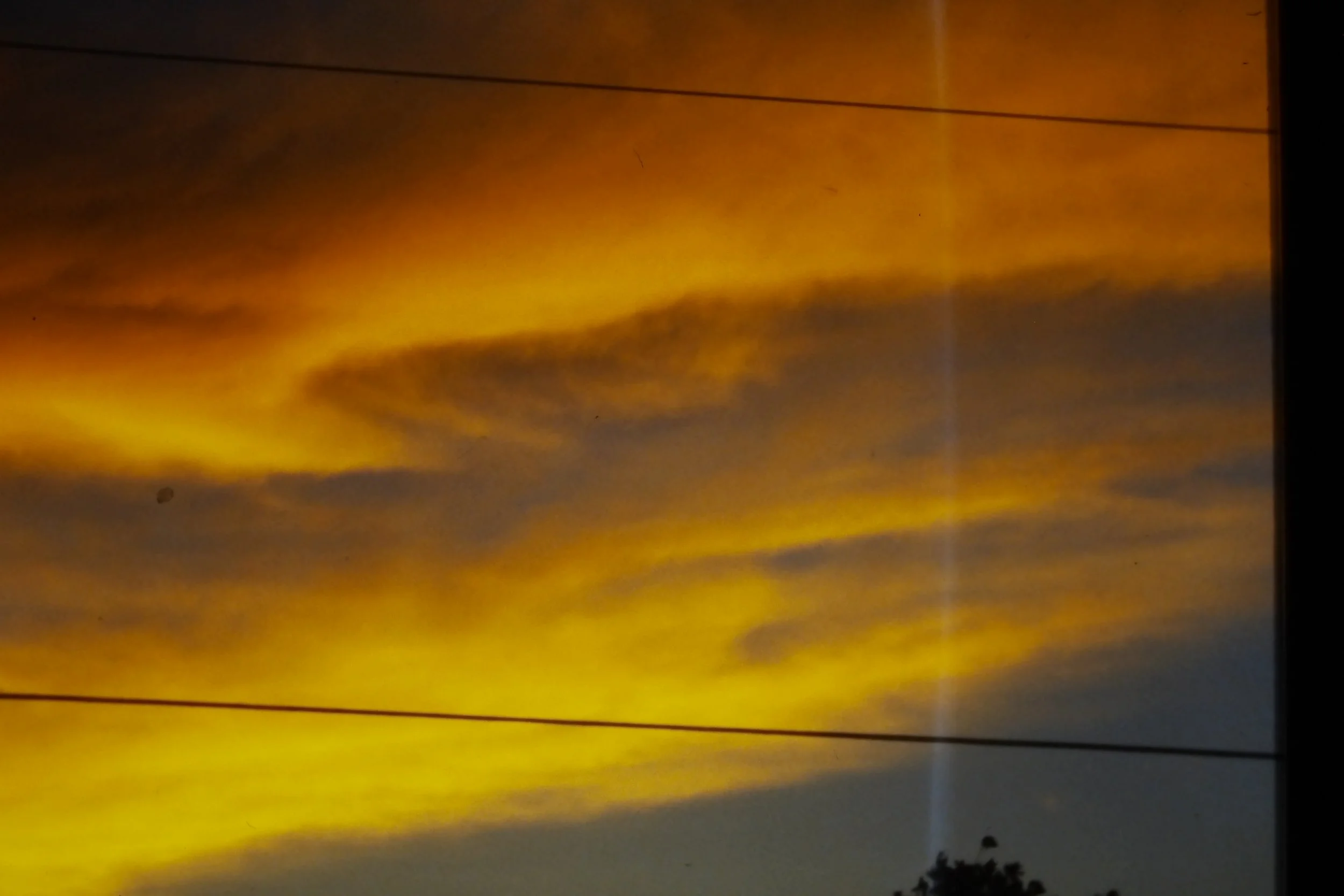 IMAG0196.JPG