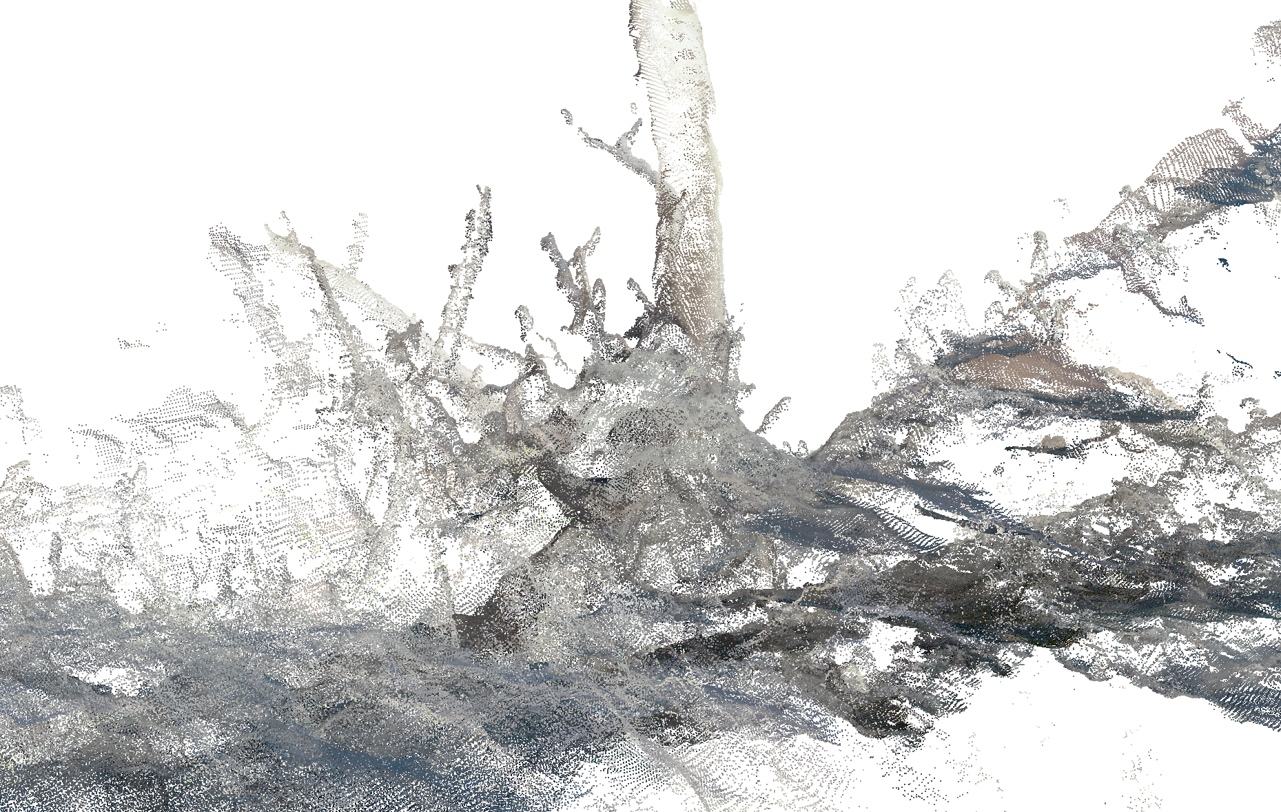 A digital or pixelated image of tree roots and branches against a white background.