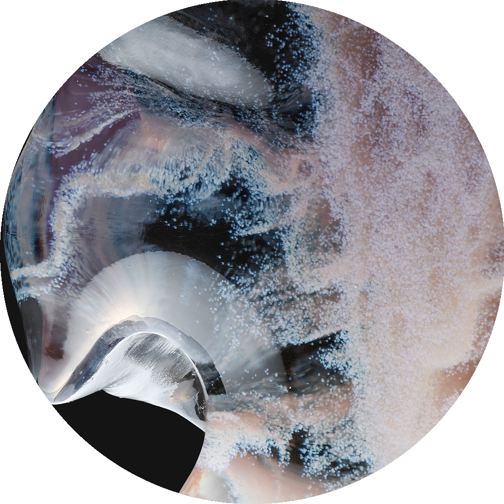 Specter[al]s of Nature