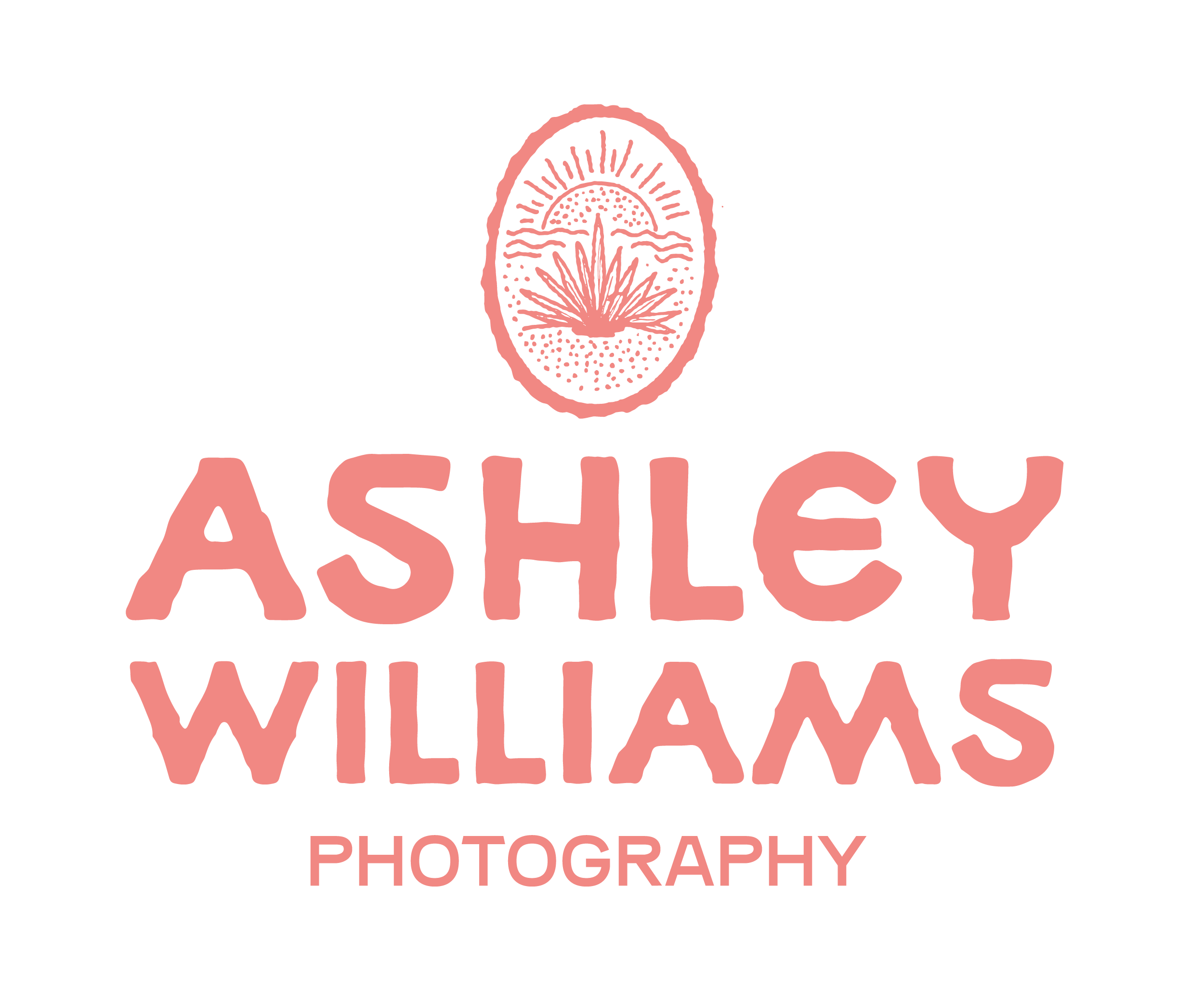 Design with a black background, featuring a pink oval logo at the top with a stylized sunset and water scene, and pink text below reading 'Ashley Willis Photography'.