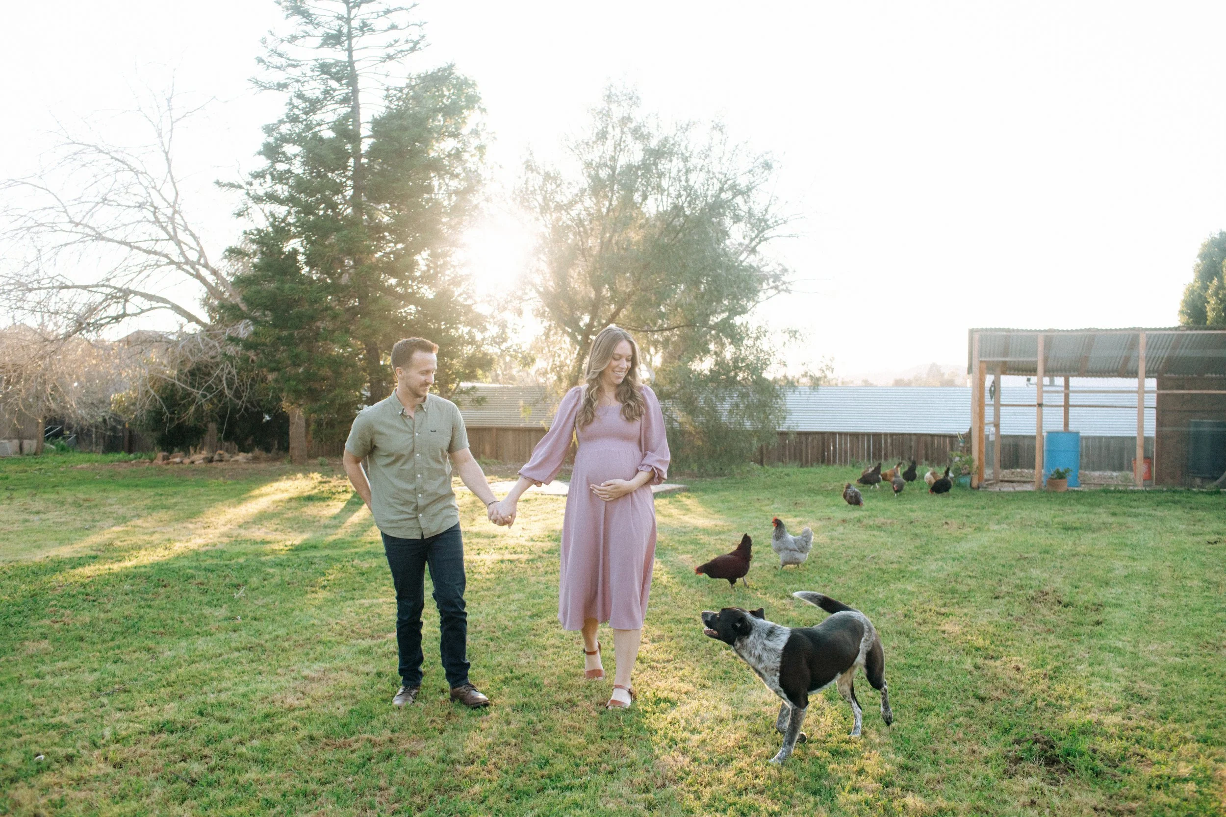 A couple walking hand in hand on a grassy yard during sunset, with chickens and a dog nearby, in a backyard with trees, a fence, and a shed.