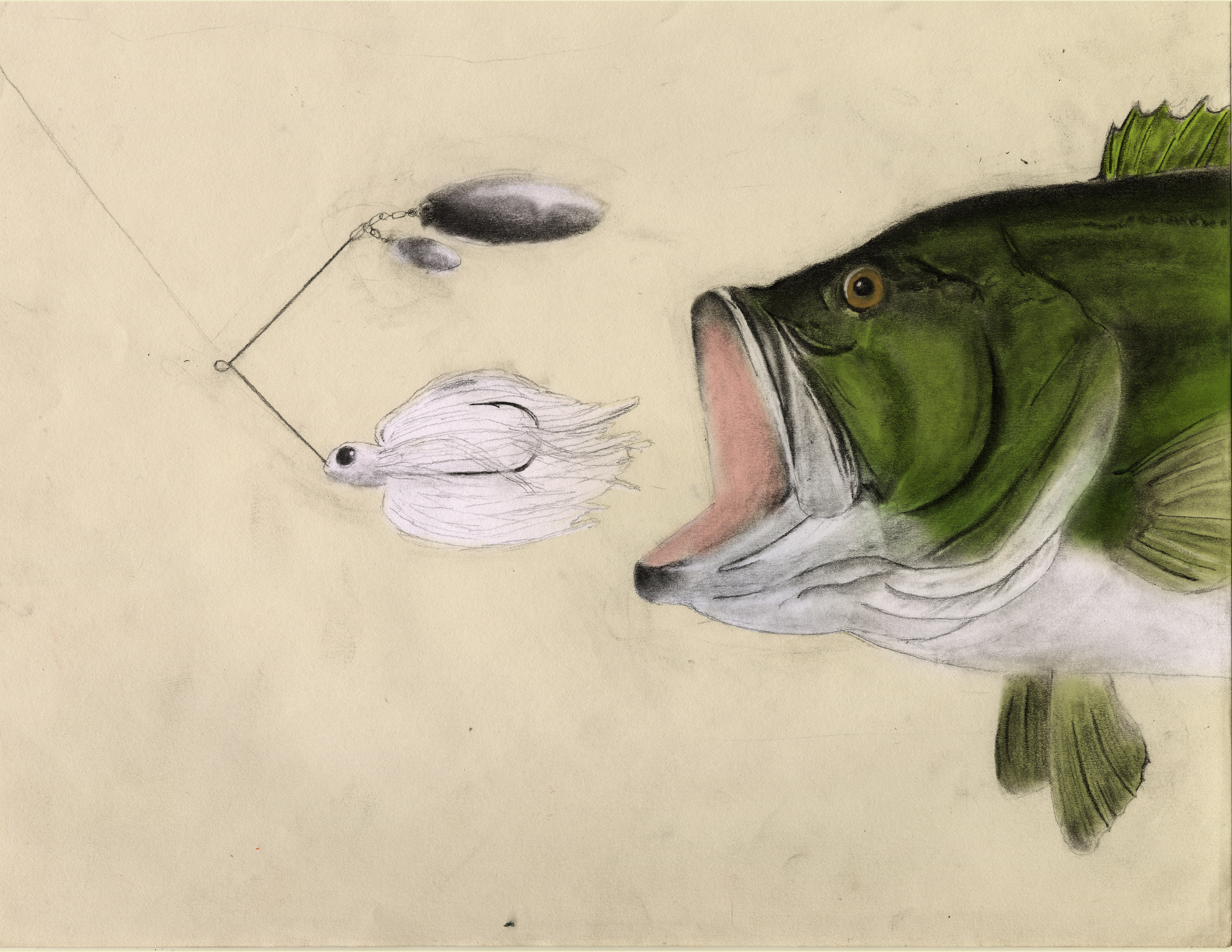 Bass.png