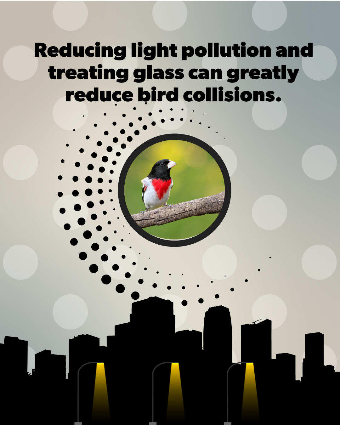 Graphic showing a city skyline with streetlights and a dotted circular pattern radiating from a bird perched on a branch, with text about reducing light pollution and treating glass to reduce bird collisions.